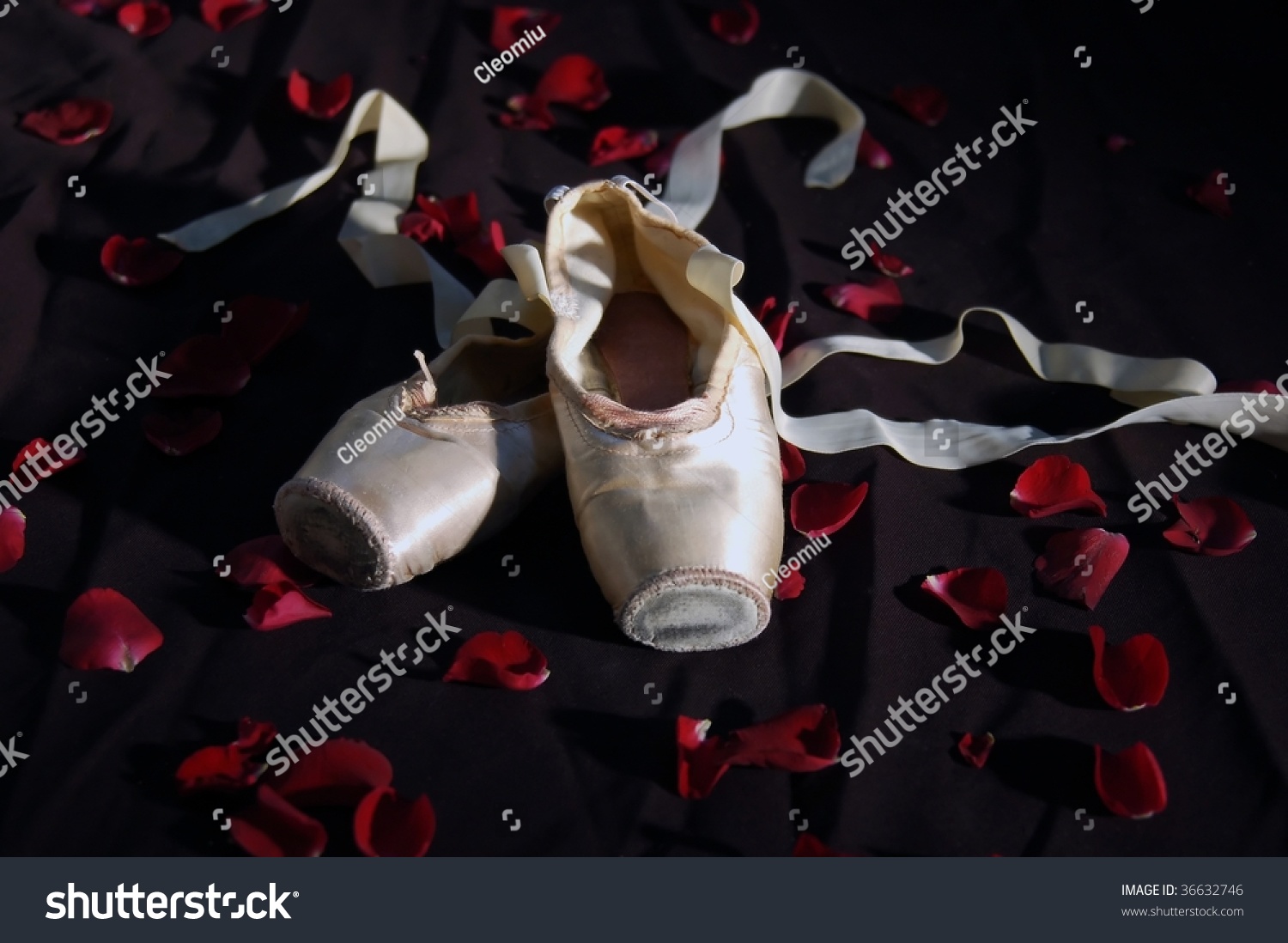 Ballet Slipper A Pair Of Well Worn Ballet Shoes On Stage With Rose