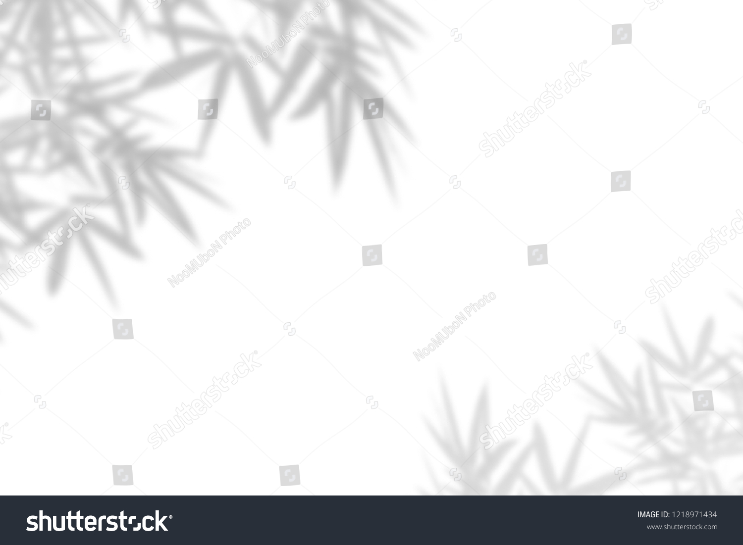 Bamboo Shadows Images Stock Photos Vectors Shutterstock