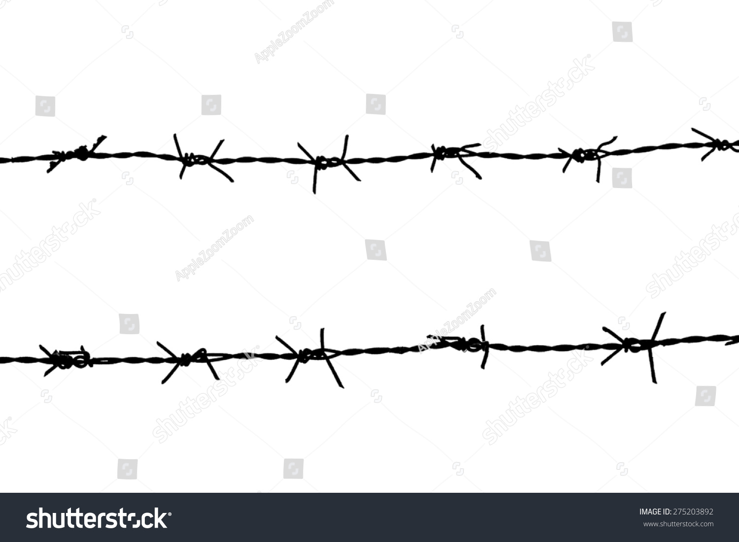 Barbed Wire Isolated On White Stock Photo Shutterstock