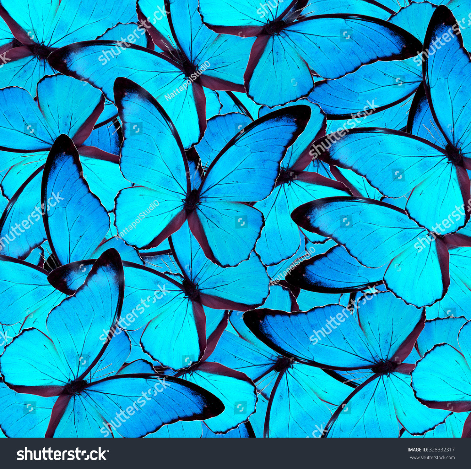 Beautiful Blue Butterfly Background Texture. Stock Photo 328332317