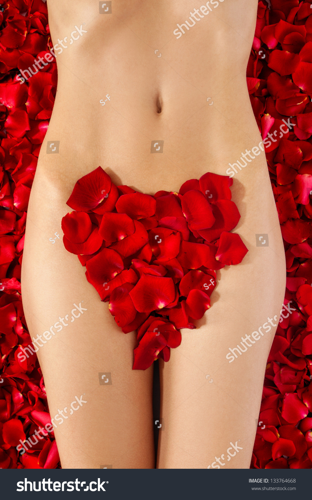 Beautiful Body Woman Against Petals Red Stock Photo 133764668