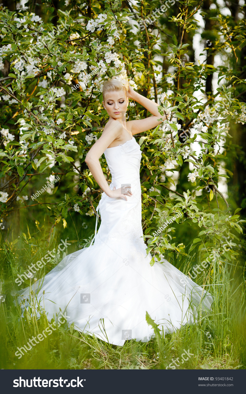 Shutterstock Beautiful Bride 121