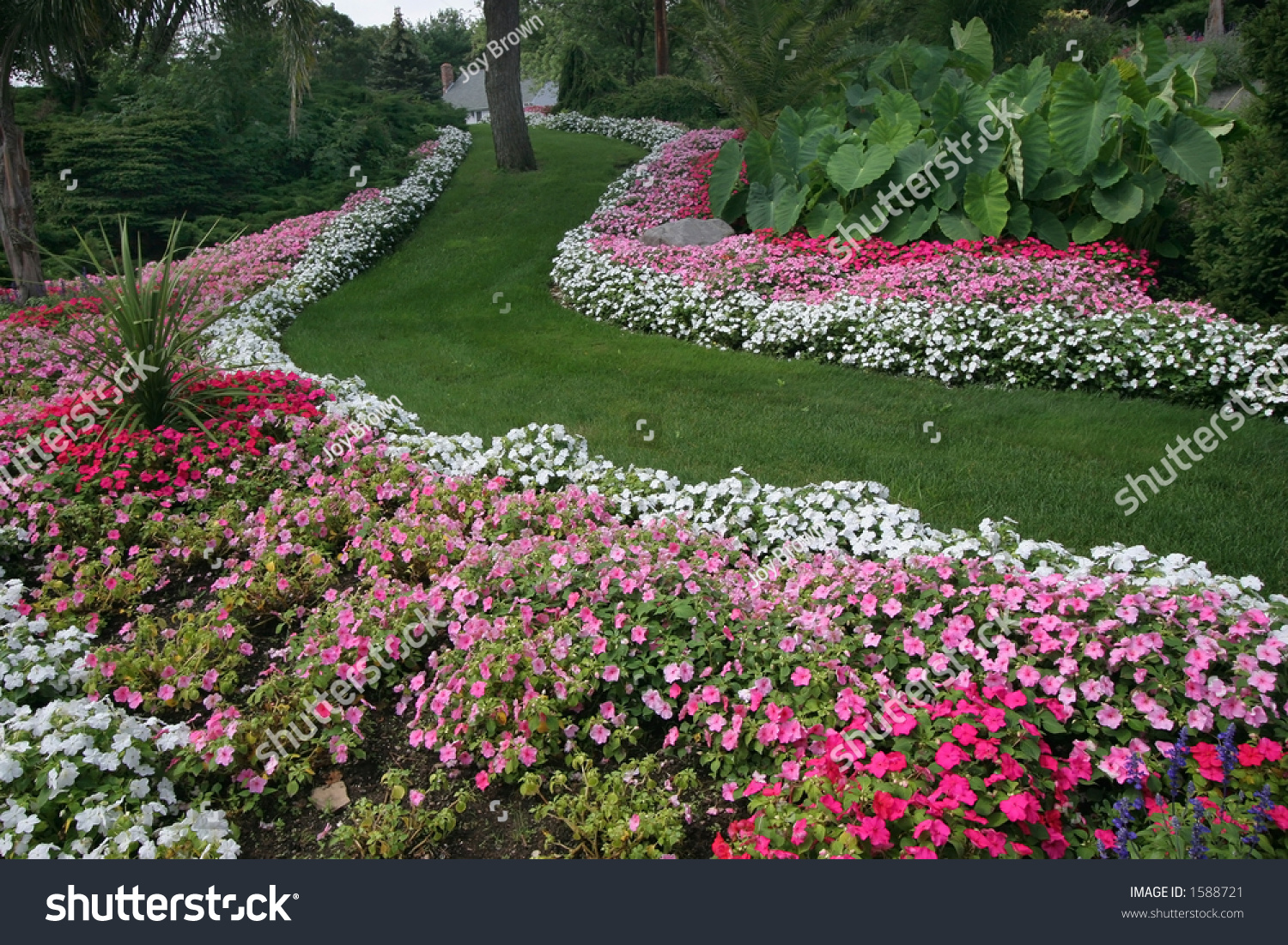 Beautiful Garden Stock Photo 1588721 : Shutterstock