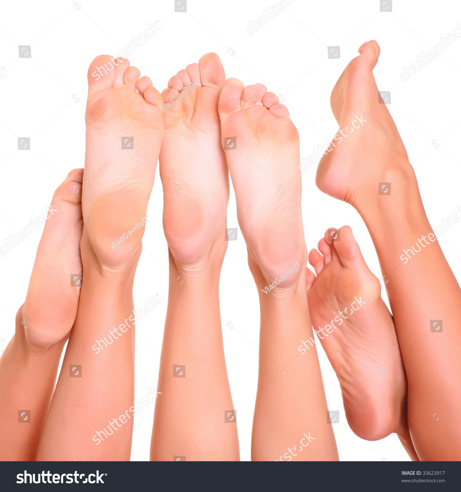 Beautiful Graceful Female Feet Stock Photo 33623917 : Shutterstock
