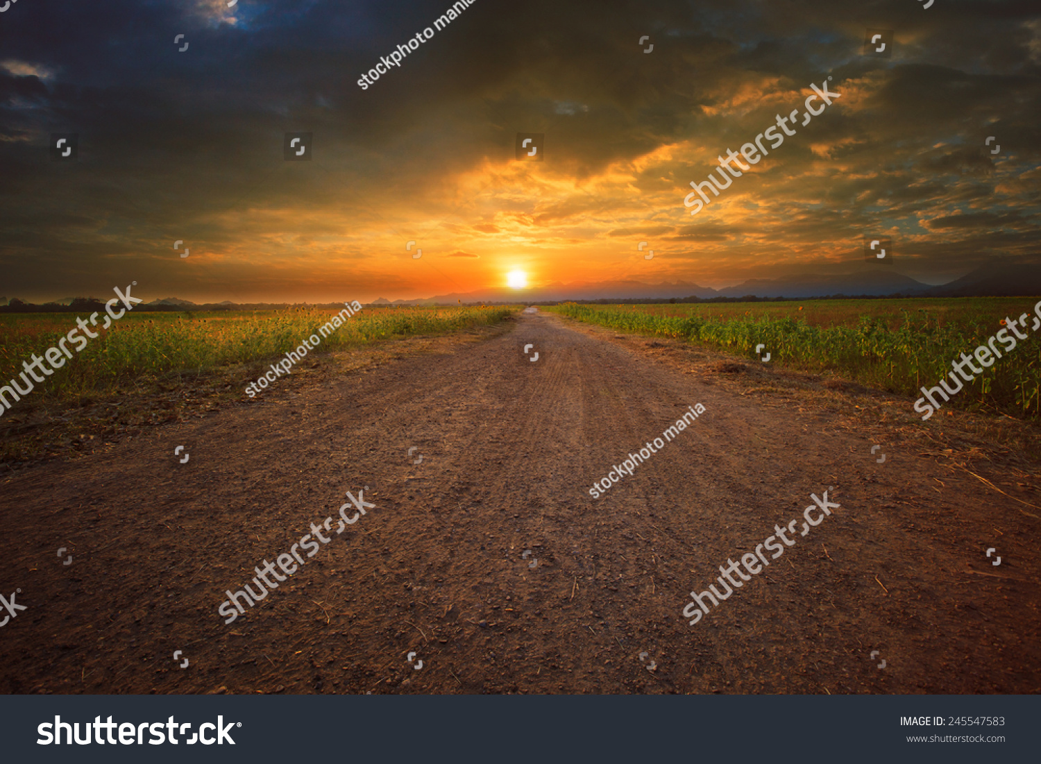 stock-photo-beautiful-land-scape-of-dust