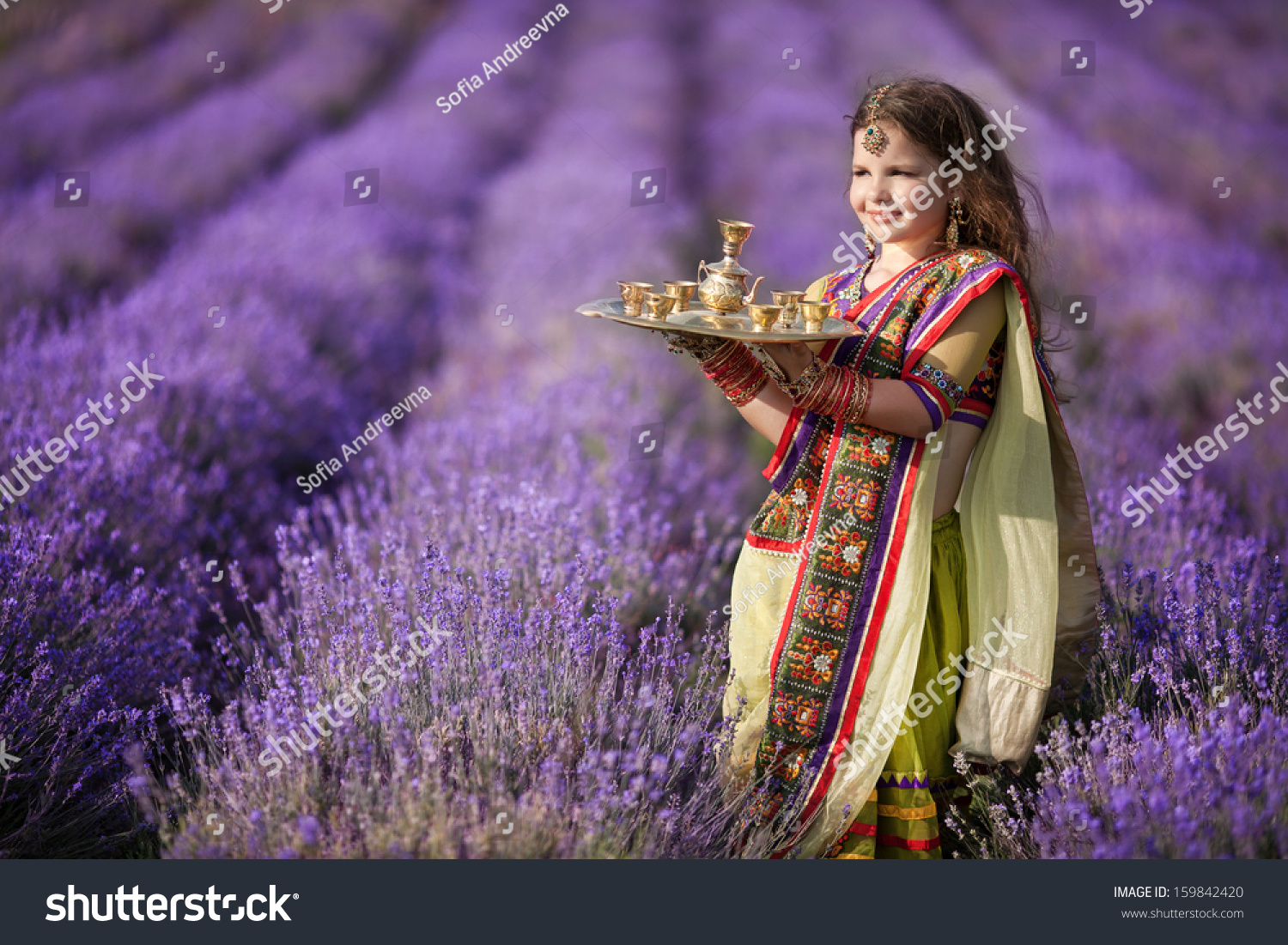 pin on lavender fields provence