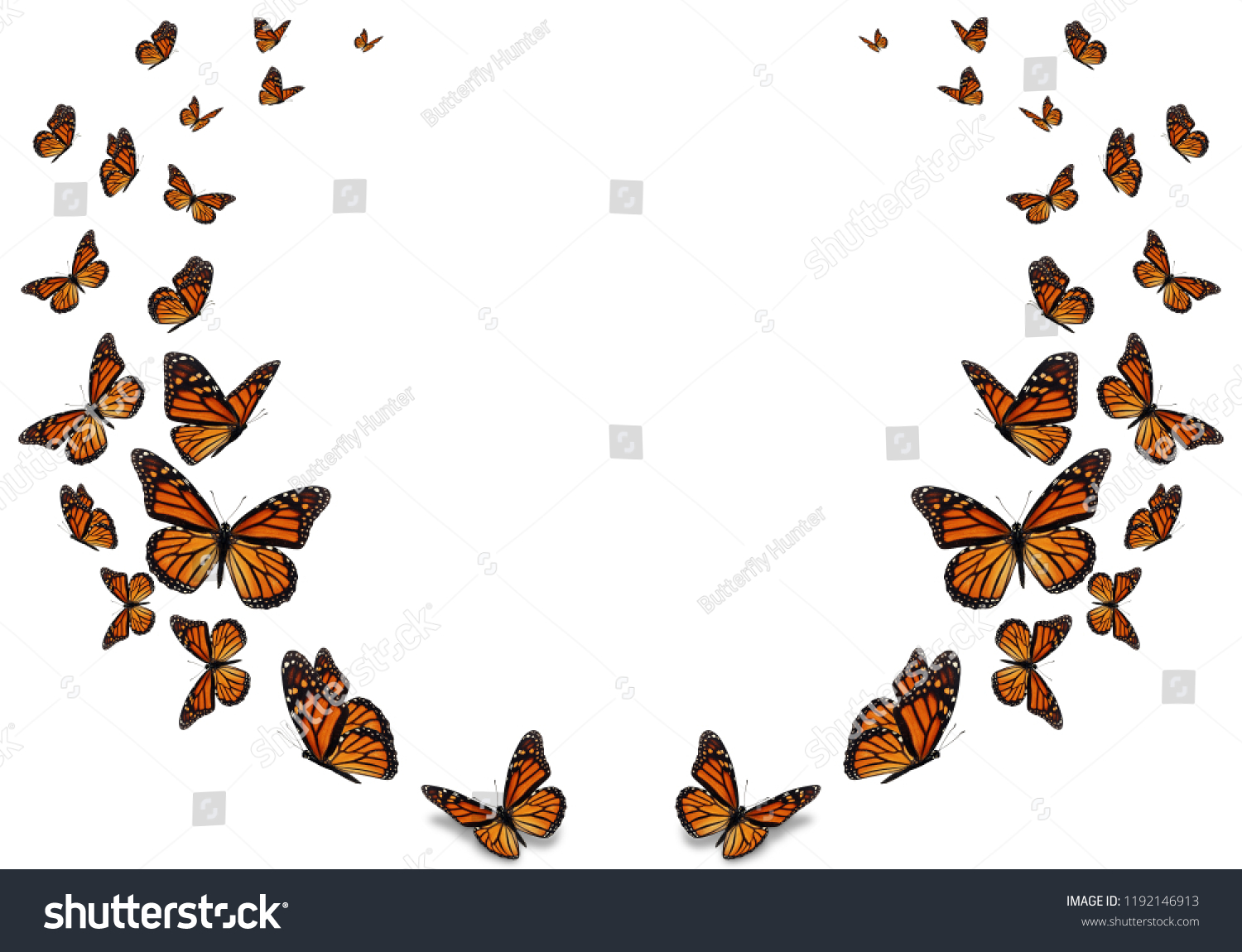 Beautiful Monarch Butterfly Isolated On White Stock Photo Edit Now