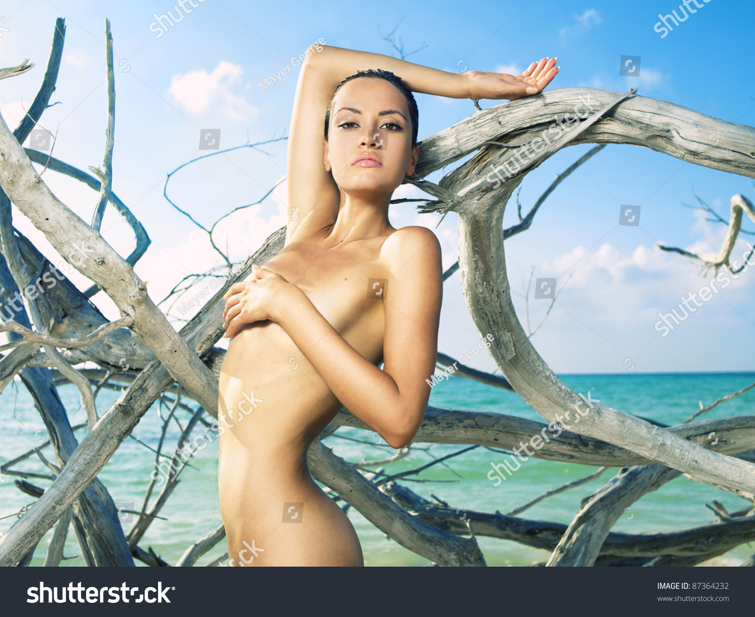 Beautiful Nude Woman On Beach Driftwood Foto Stok Shutterstock