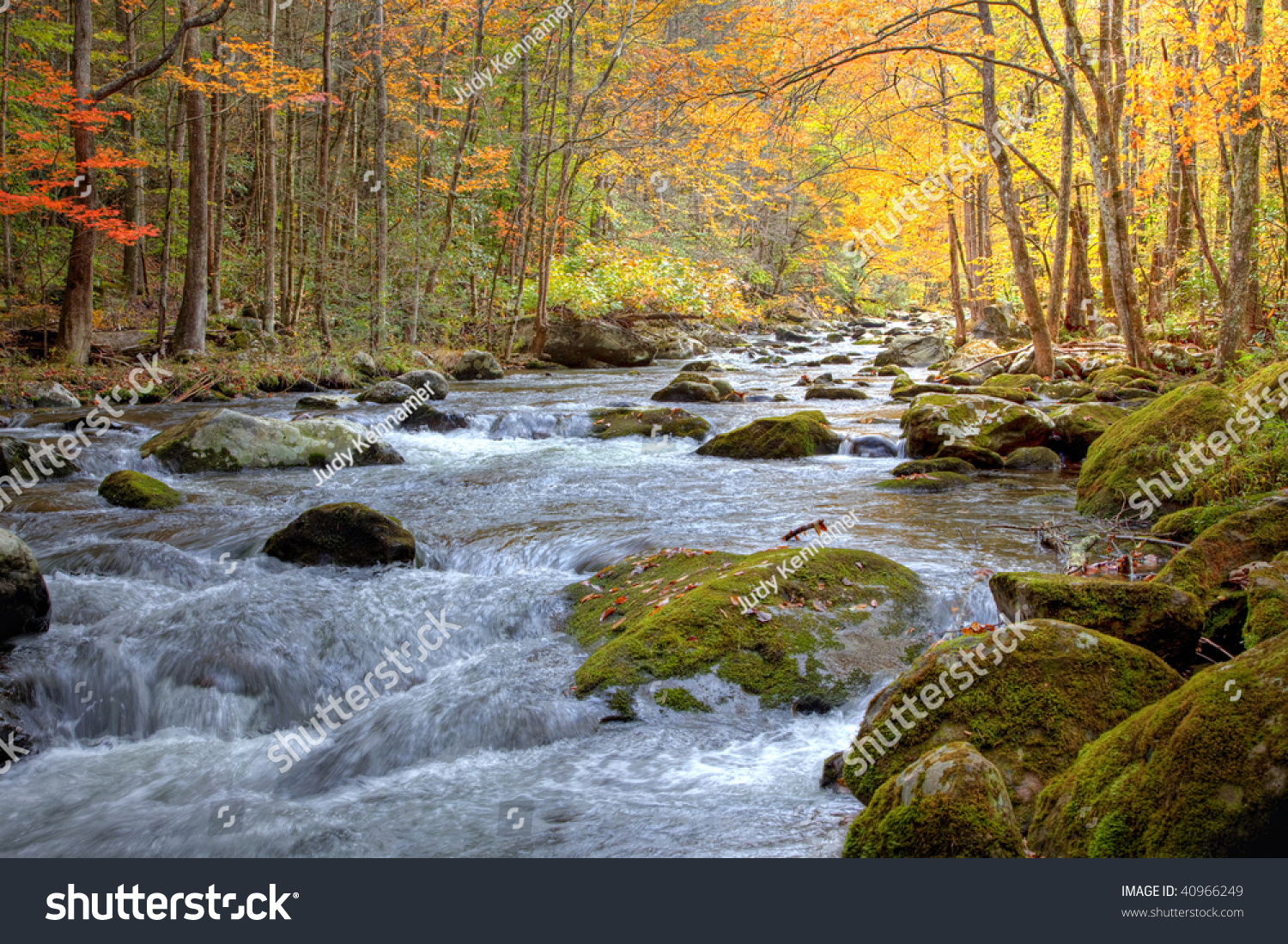 Beautiful Smoky Mountain Stream Fall Season Stock Photo 40966249