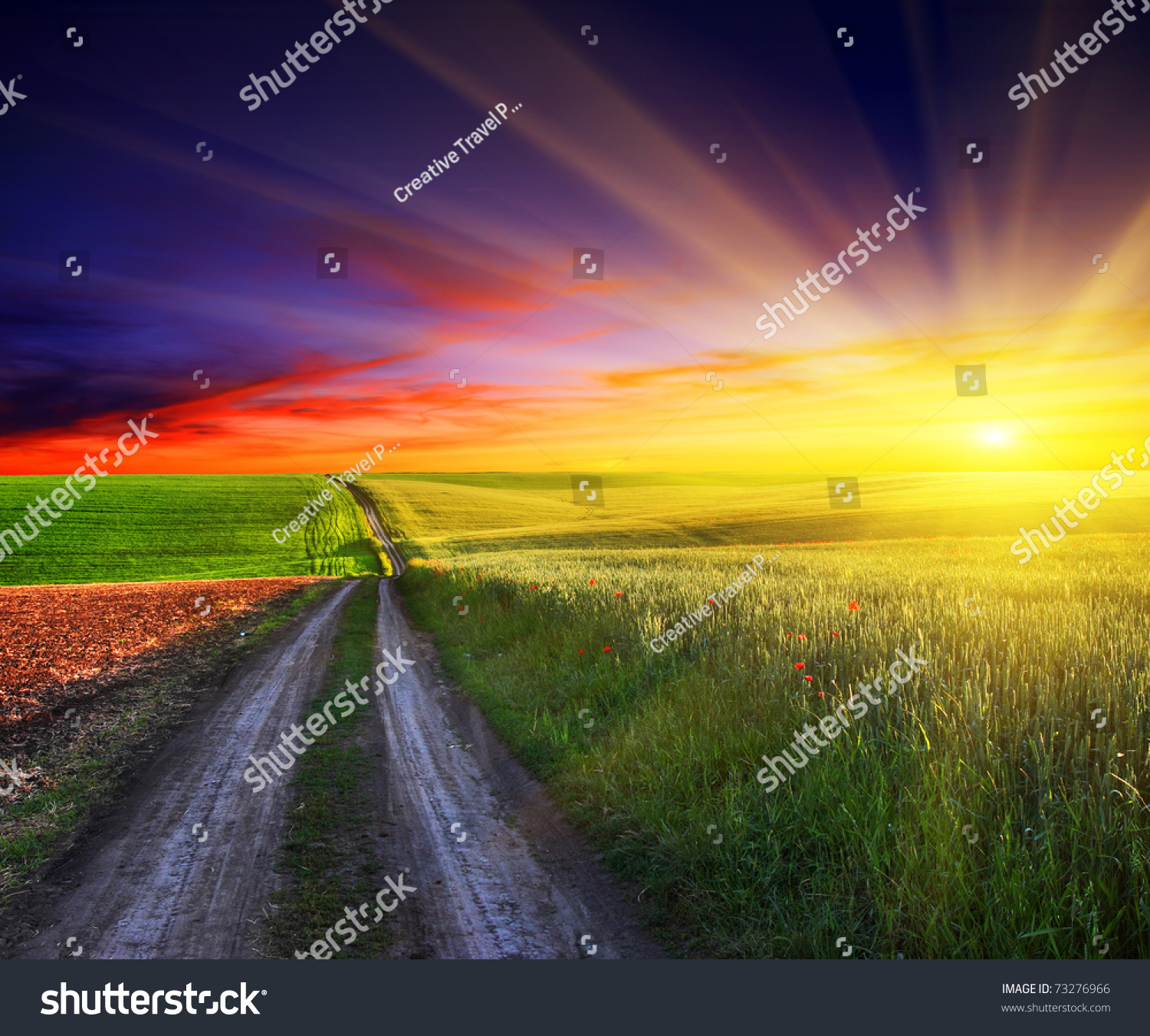 Beautiful Sunset Over Field Green Grass Stock Photo 73276966 Shutterstock