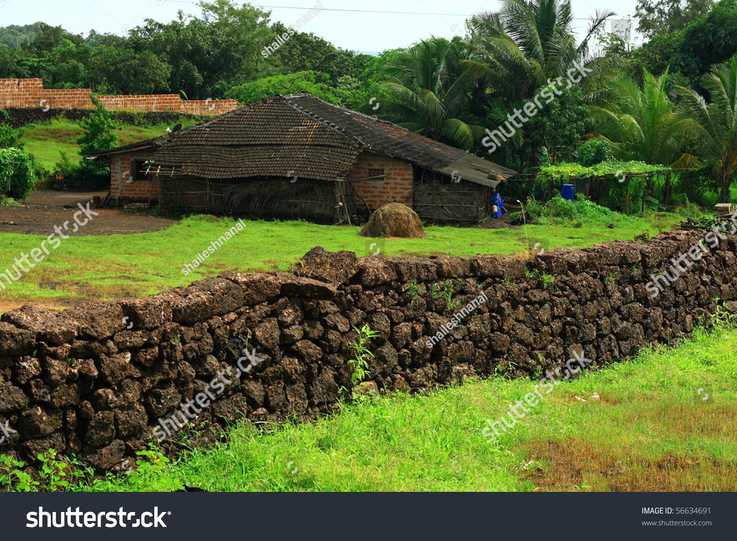 Beautiful Village House India Stock Photo 56634691 - Shutterstock