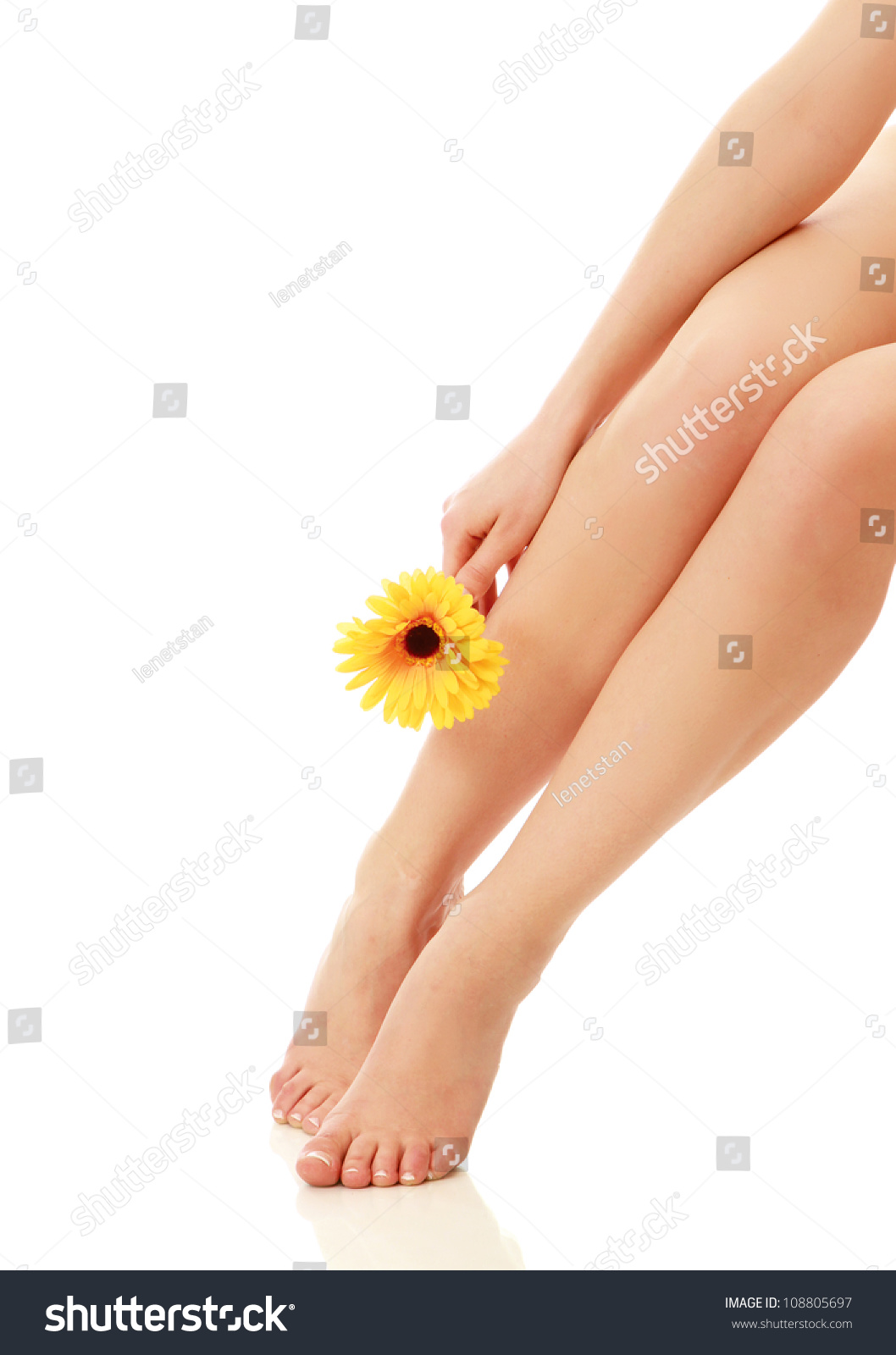 Beautiful Woman Legs Isolated On White Stock Photo 108805697 Shutterstock