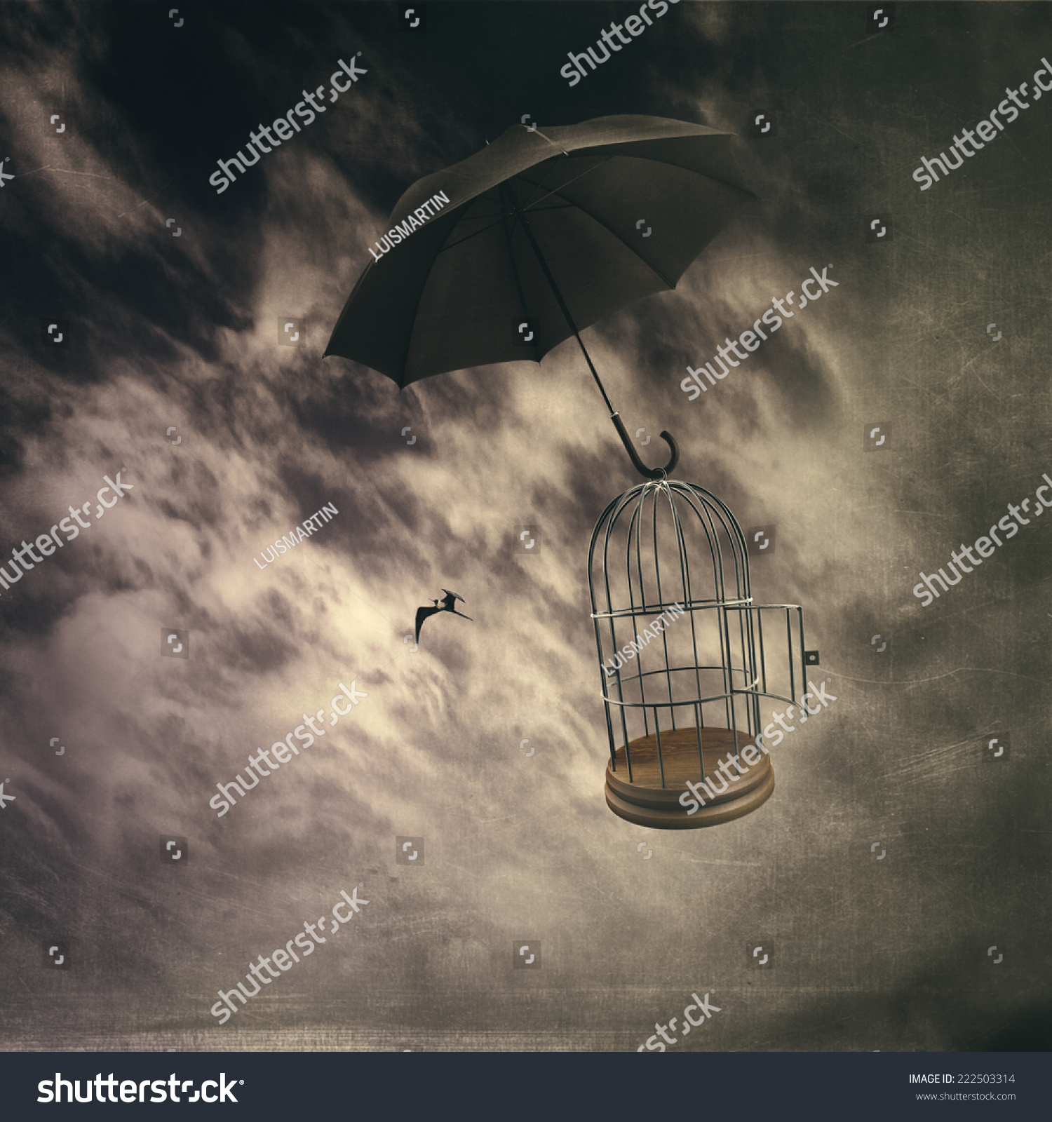 Bird Flying Out Cage Stock Illustration 222503314 Shutterstock