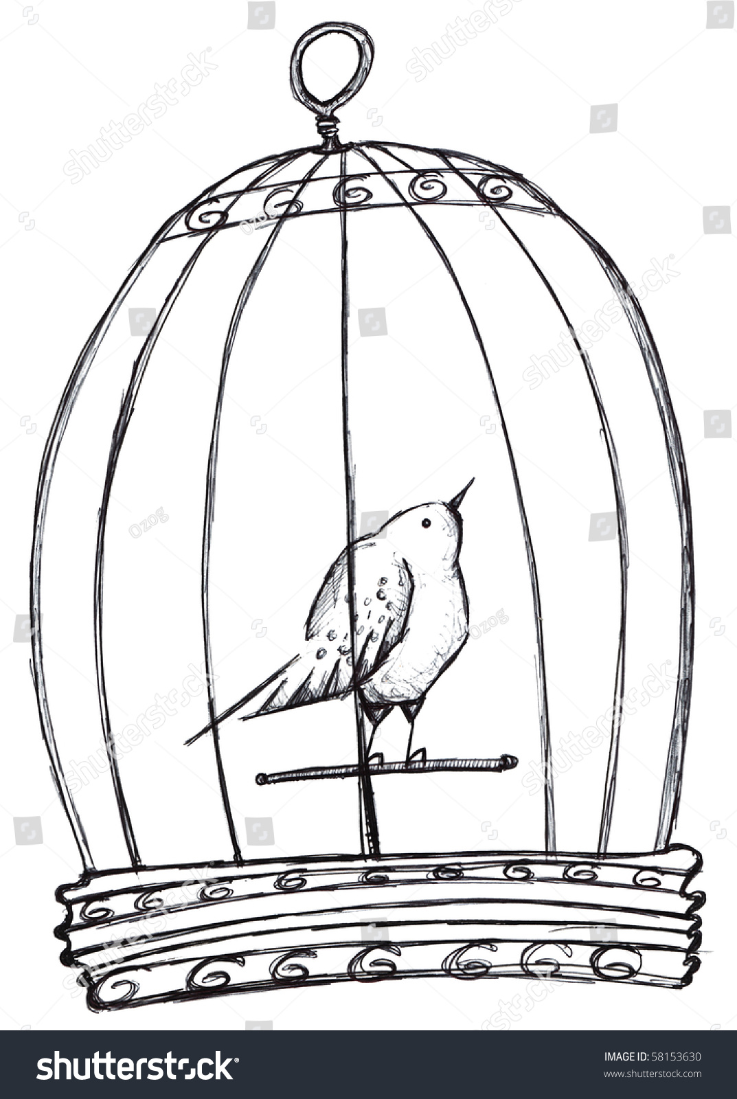 Bird In Cage Sketch Stock Photo 58153630 Shutterstock