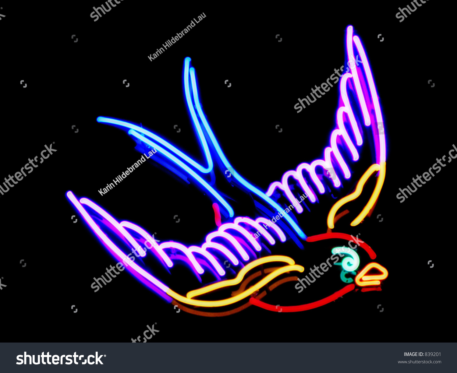 Bird Neon Sign Stock Photo 839201 : Shutterstock
