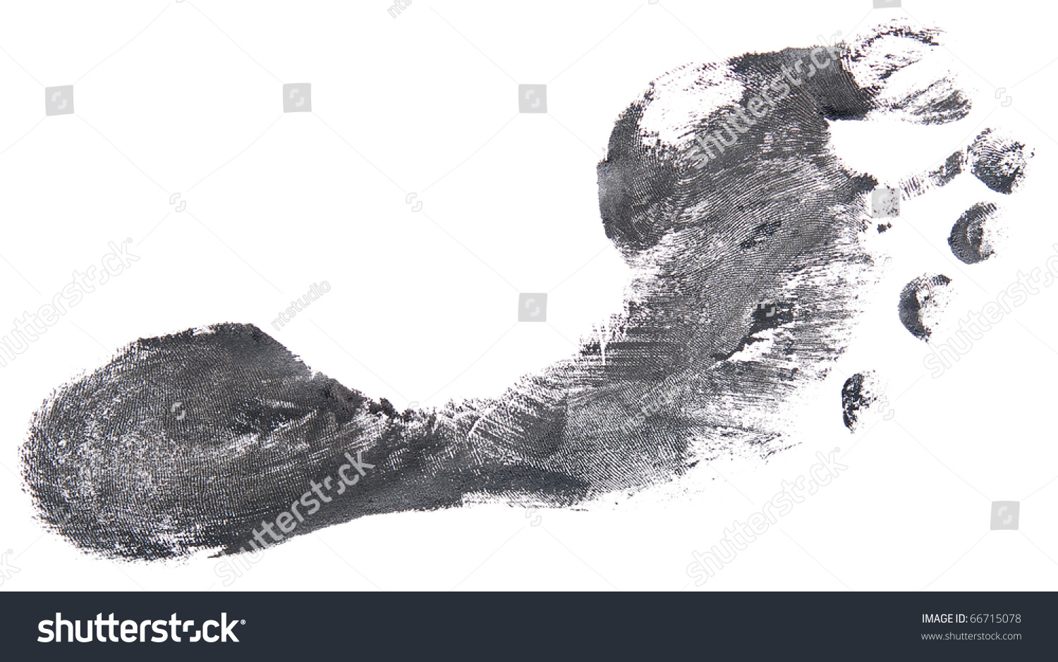 Black Footprint Isolated On A White Stock Photo 66715078 : Shutterstock