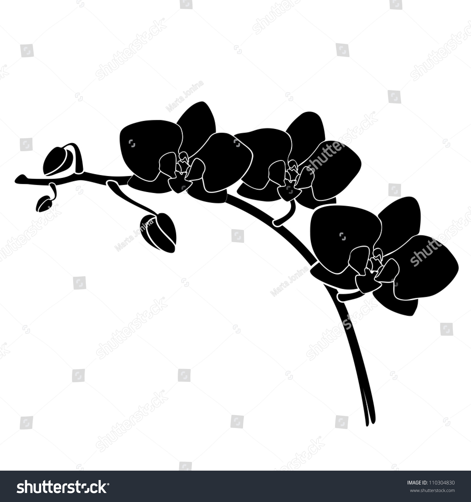Orchid Clipart Black And White