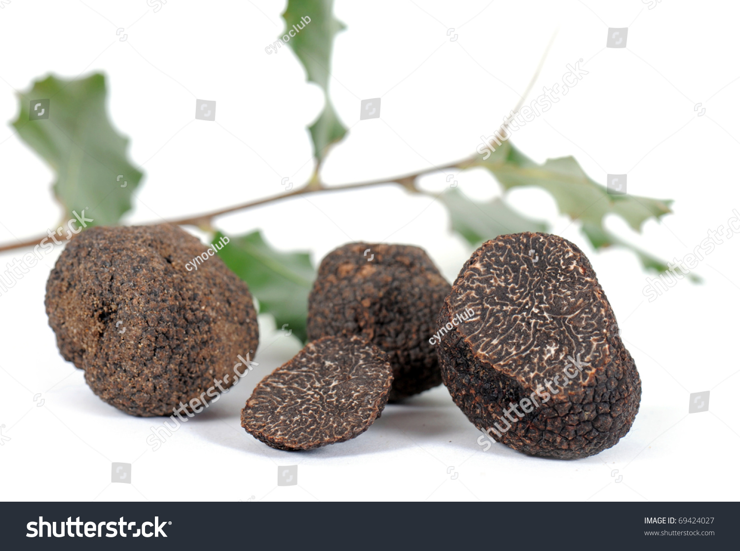 stock-photo-black-truffles-tuber-melanos