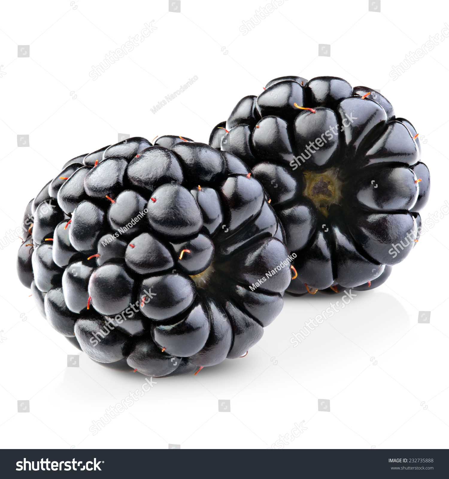 Blackberries Isolated On White Background. Clipping Path Stock Photo