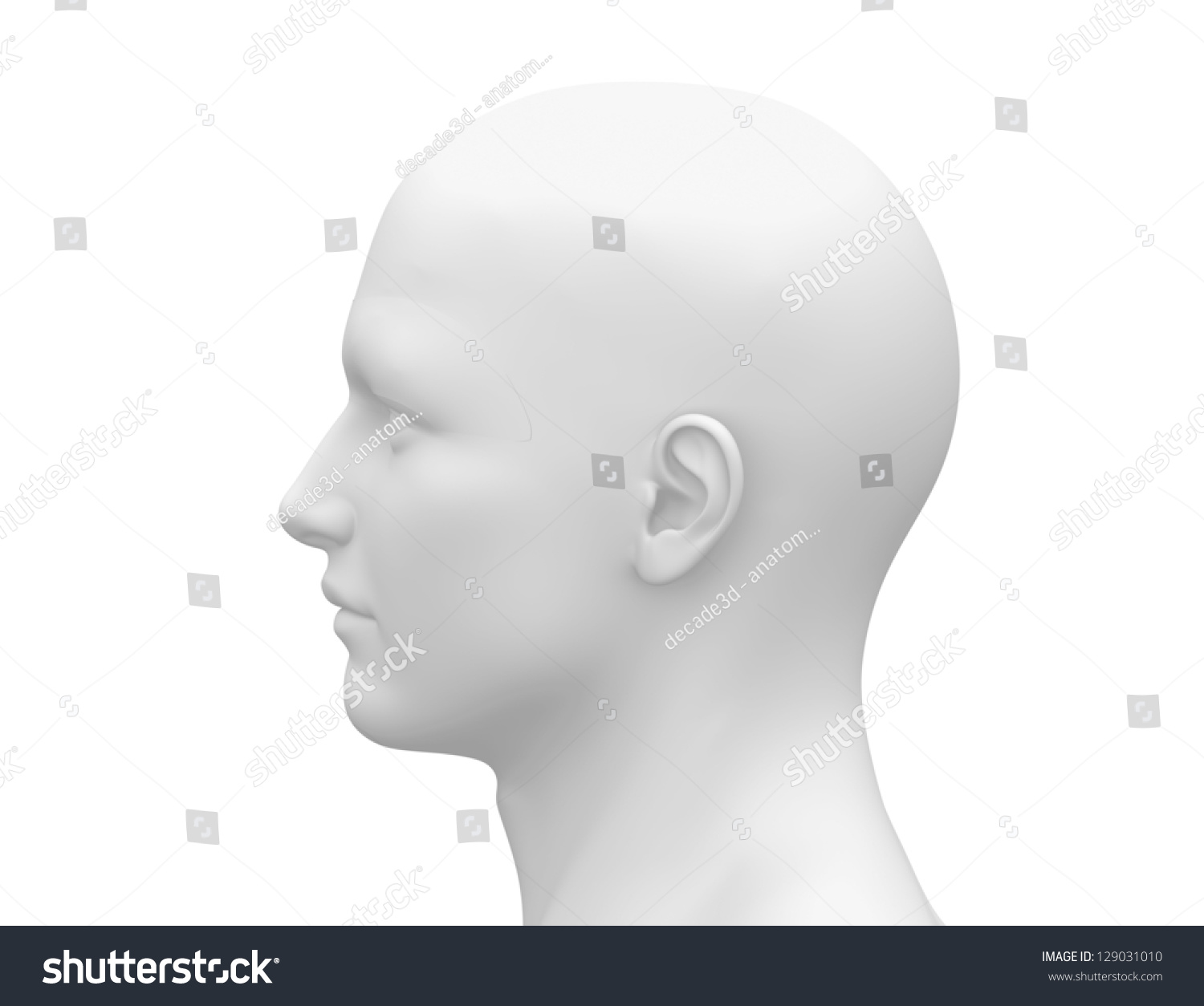 Blank White Male Head - Side View Stock Photo 129031010 : Shutterstock