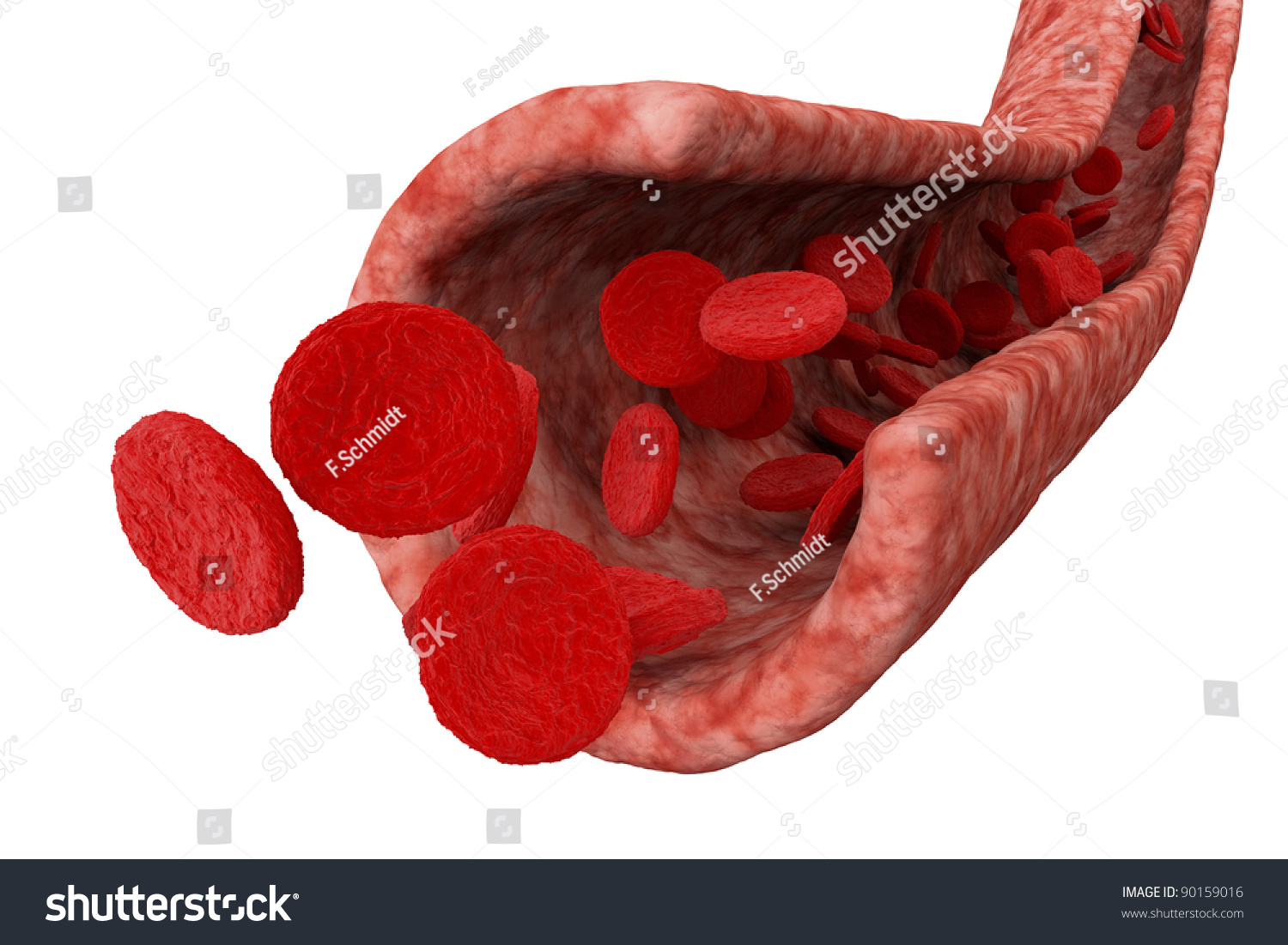 Blood Vein 3d Stock Photo 90159016 : Shutterstock