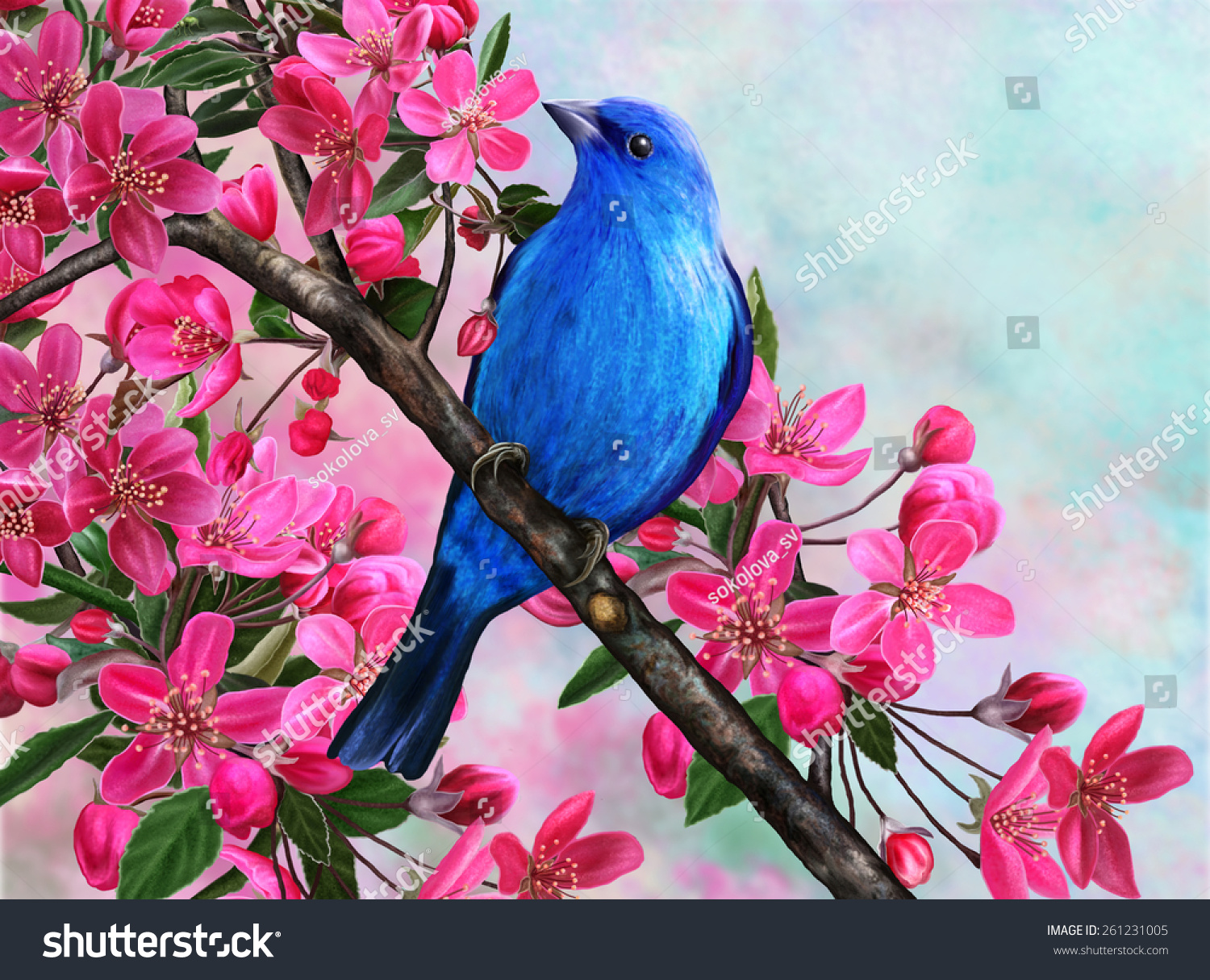 Blue Bird On A Branch Of Apple Blossom Stock Photo 261231005 : Shutterstock