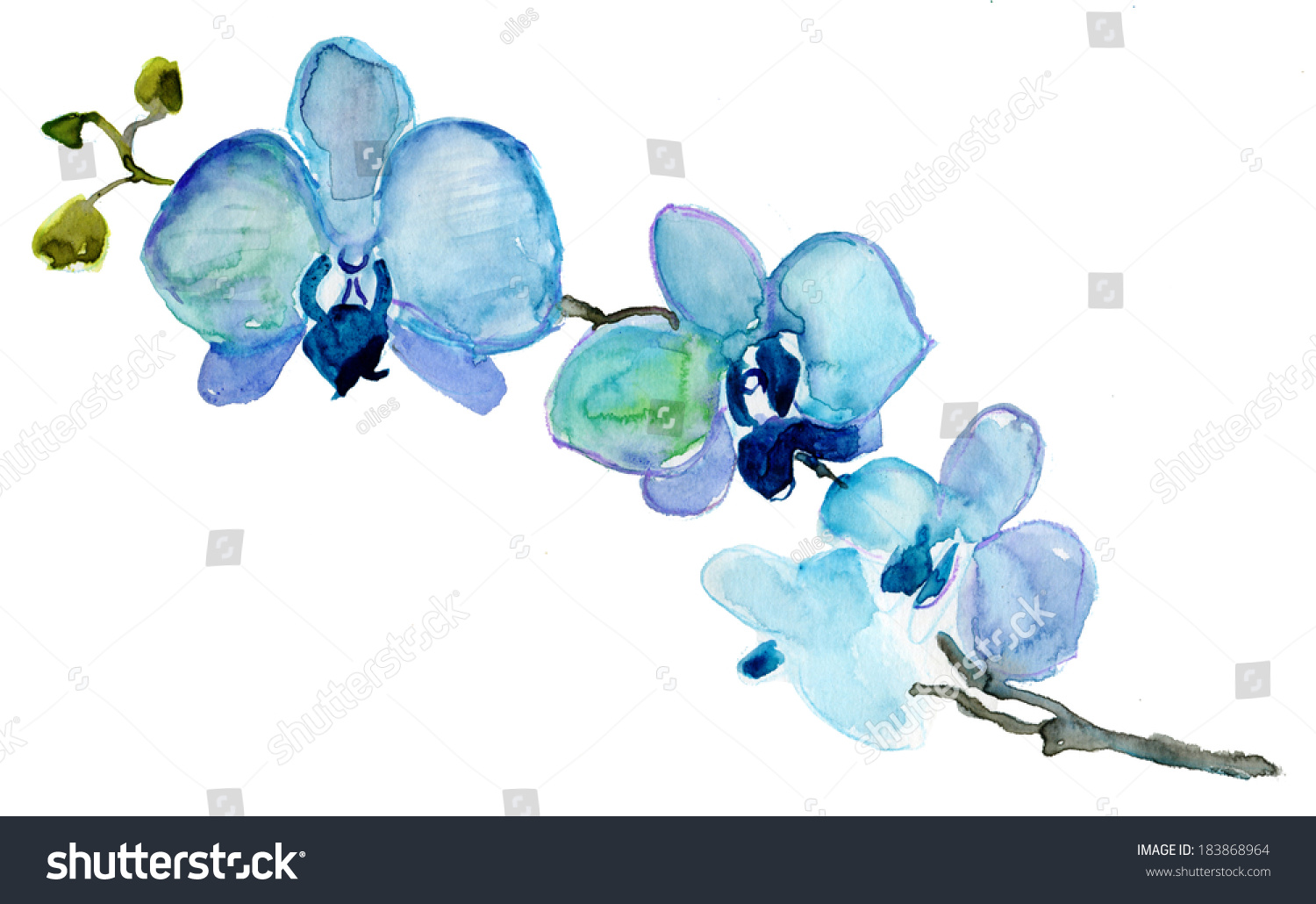 Blue Orchid Clipart