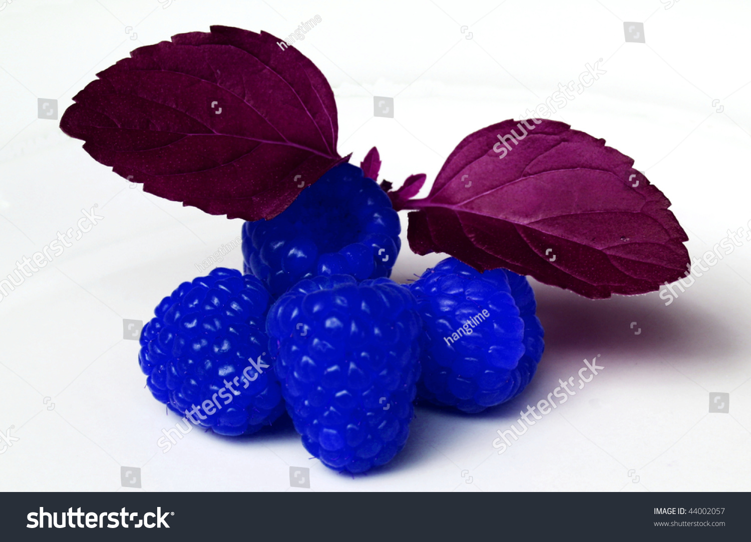 Blue Raspberries On White. Stock Photo 44002057 Shutterstock