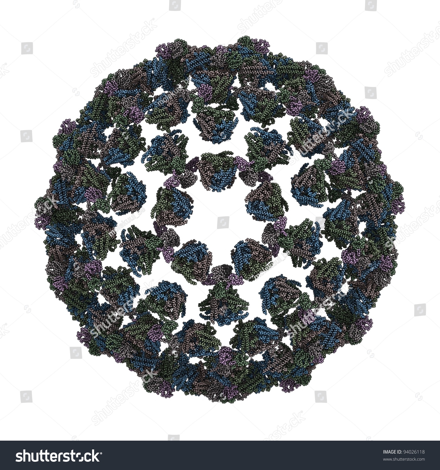 Bluetongue Virus Capsid This Virus Is The Causative Agent Of