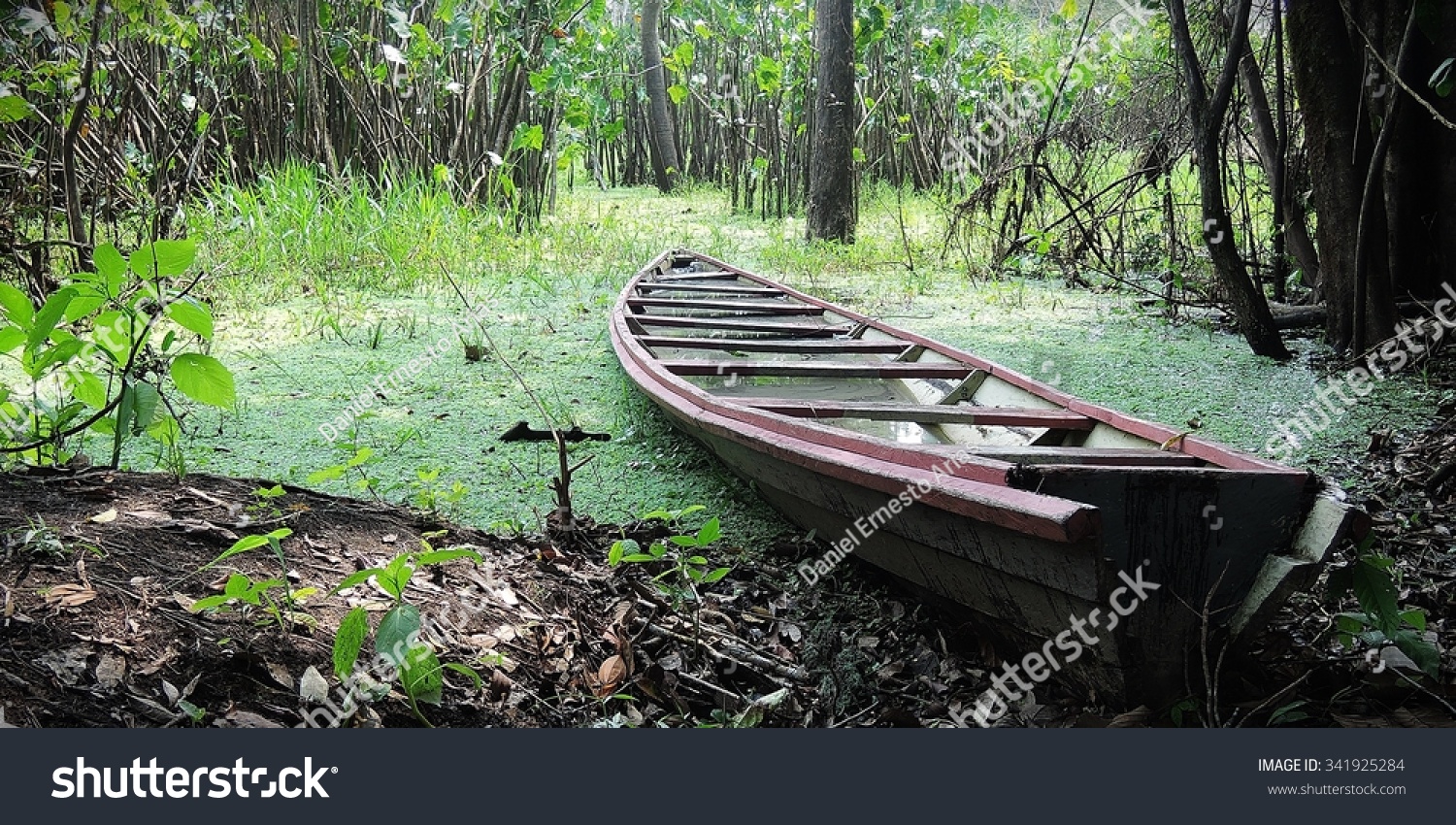 Boat In Swamp Stock Photo 341925284 Shutterstock