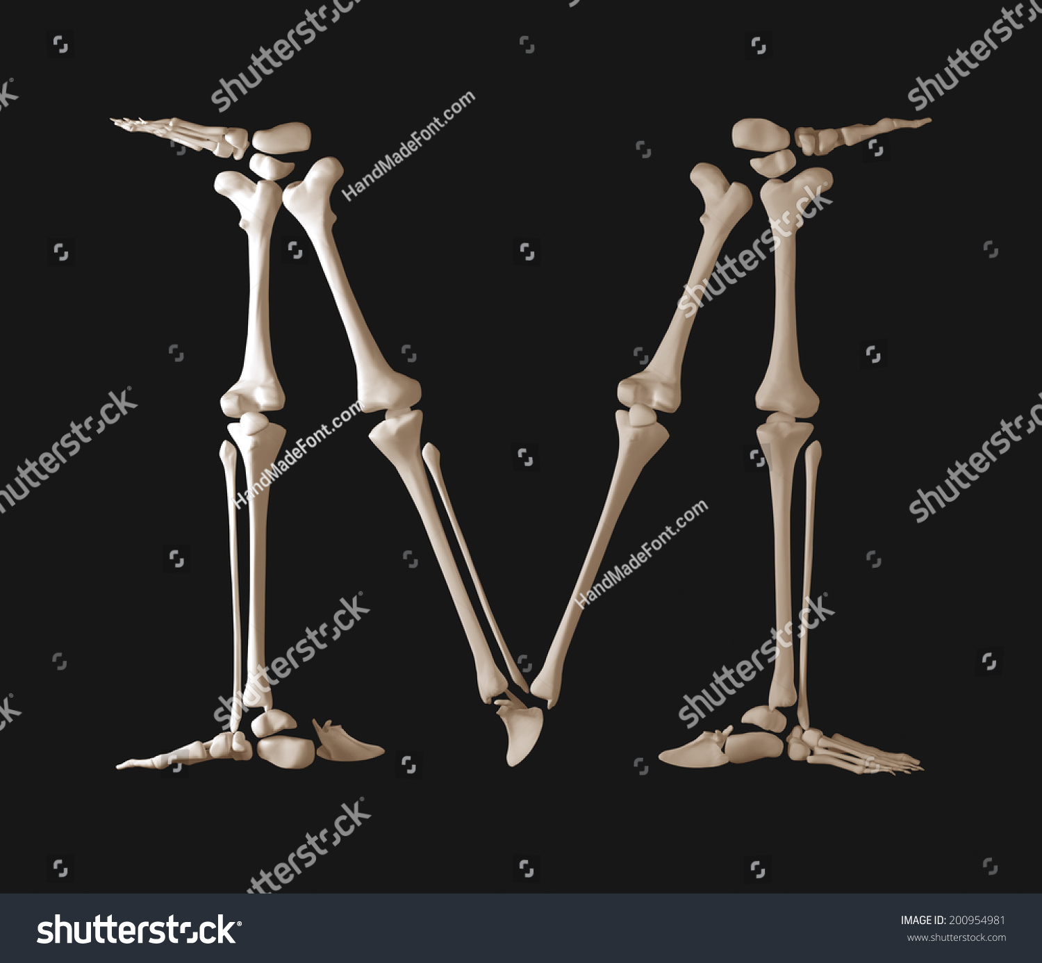 Bone Font Letter M. Skeleton Alphabet Isolated On Black Background ...