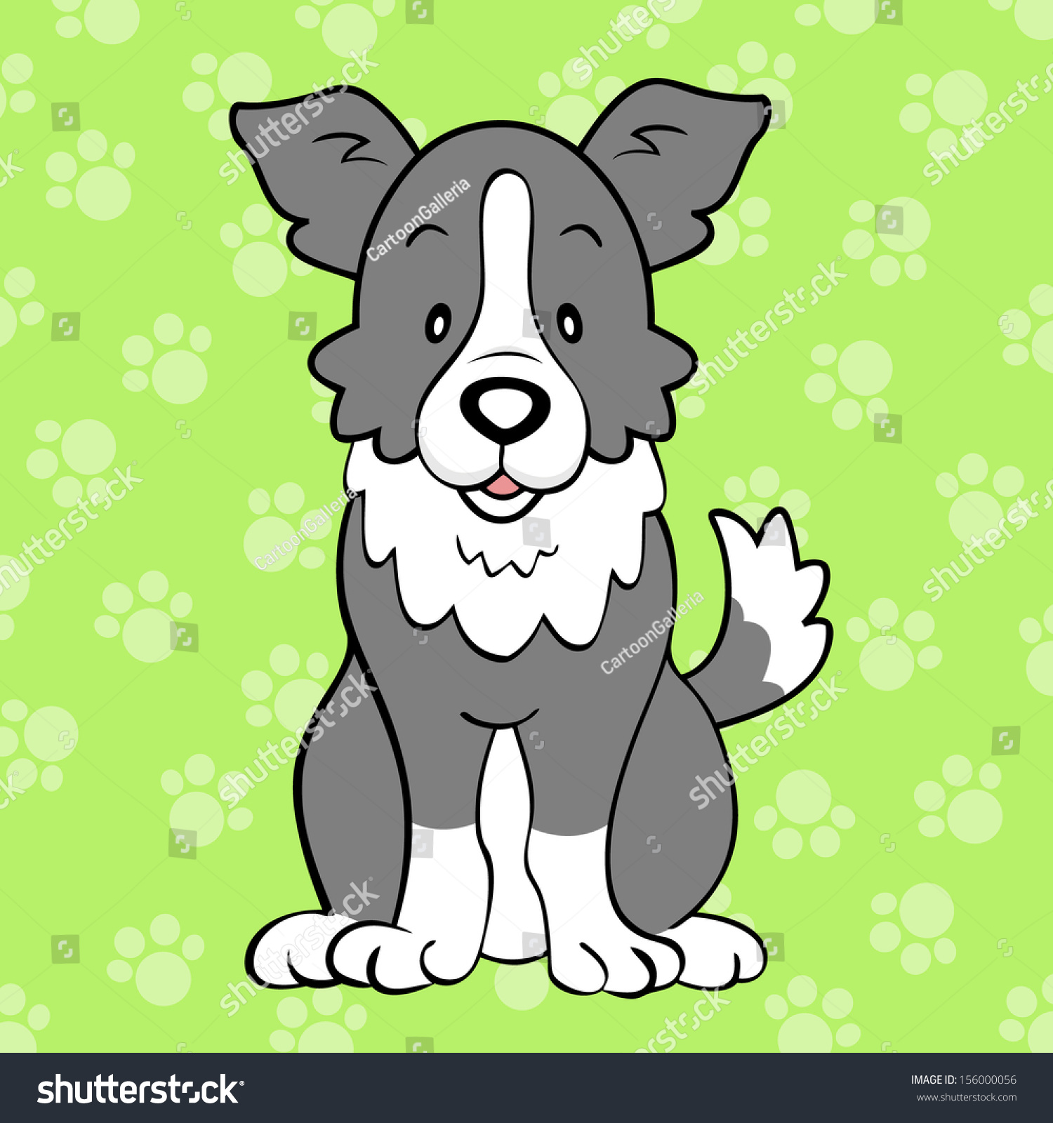 Border Collie Stock Photo 156000056 : Shutterstock