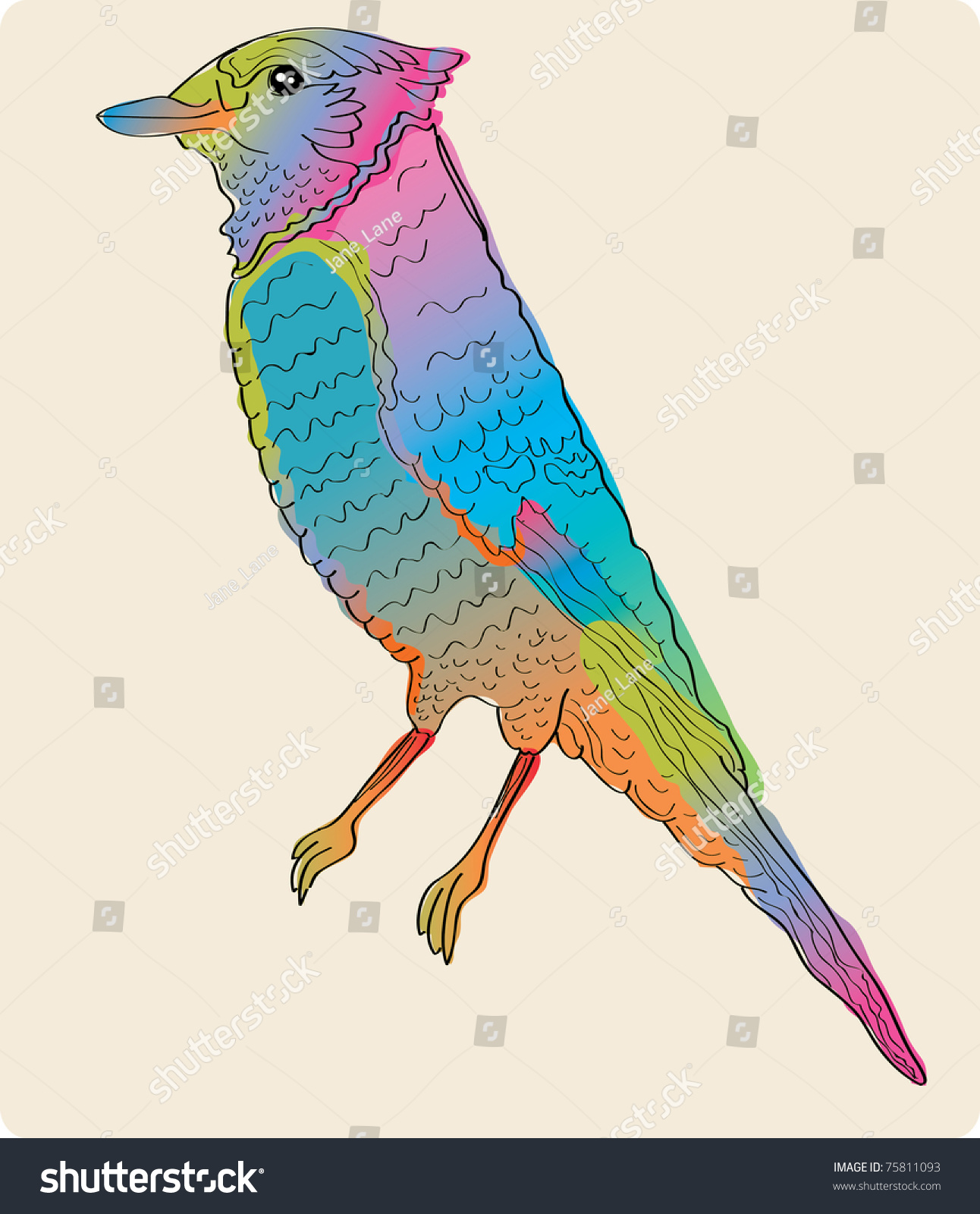 Bright Color Bird, Hand Drawing Illustration - 75811093 : Shutterstock