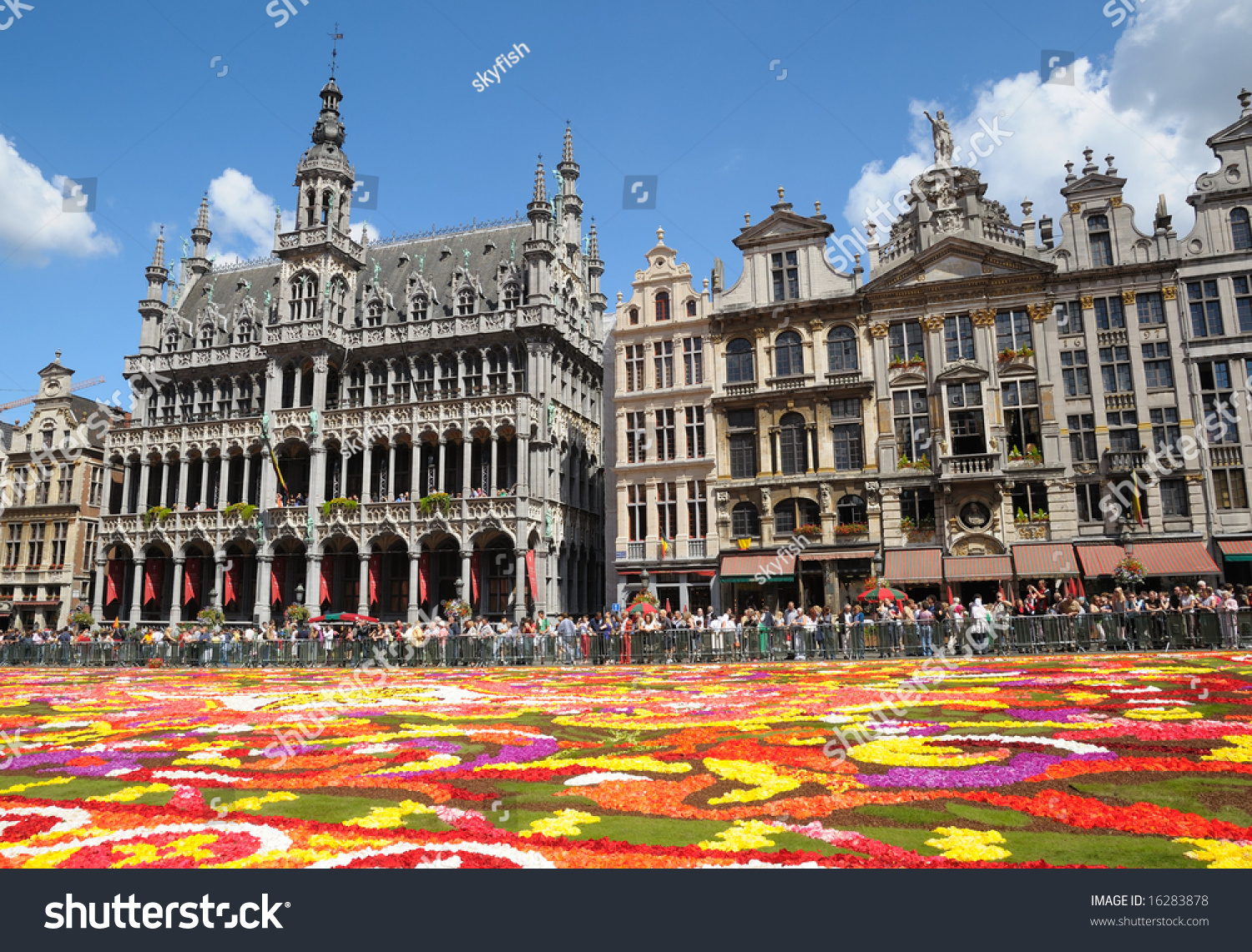 Brussels - August 16: Flower Carpet - 2008 In Brussels Grand-Place ...