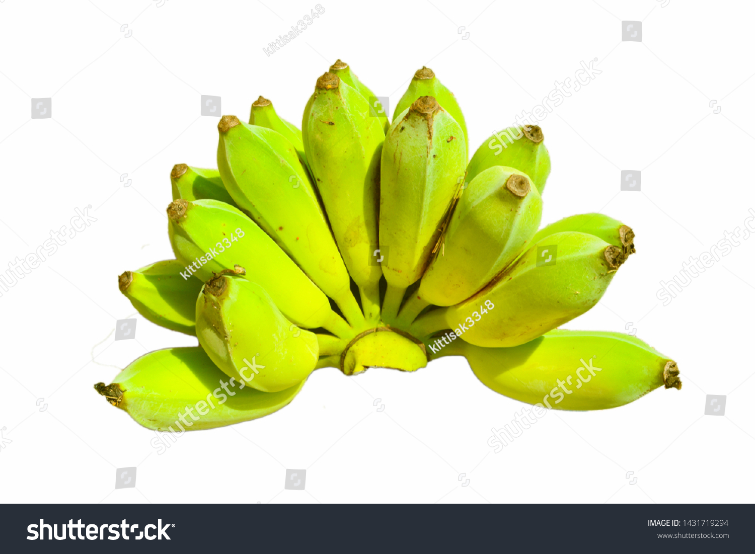 Bunch Green Yellow Bananas Garden Pisang Stock Photo