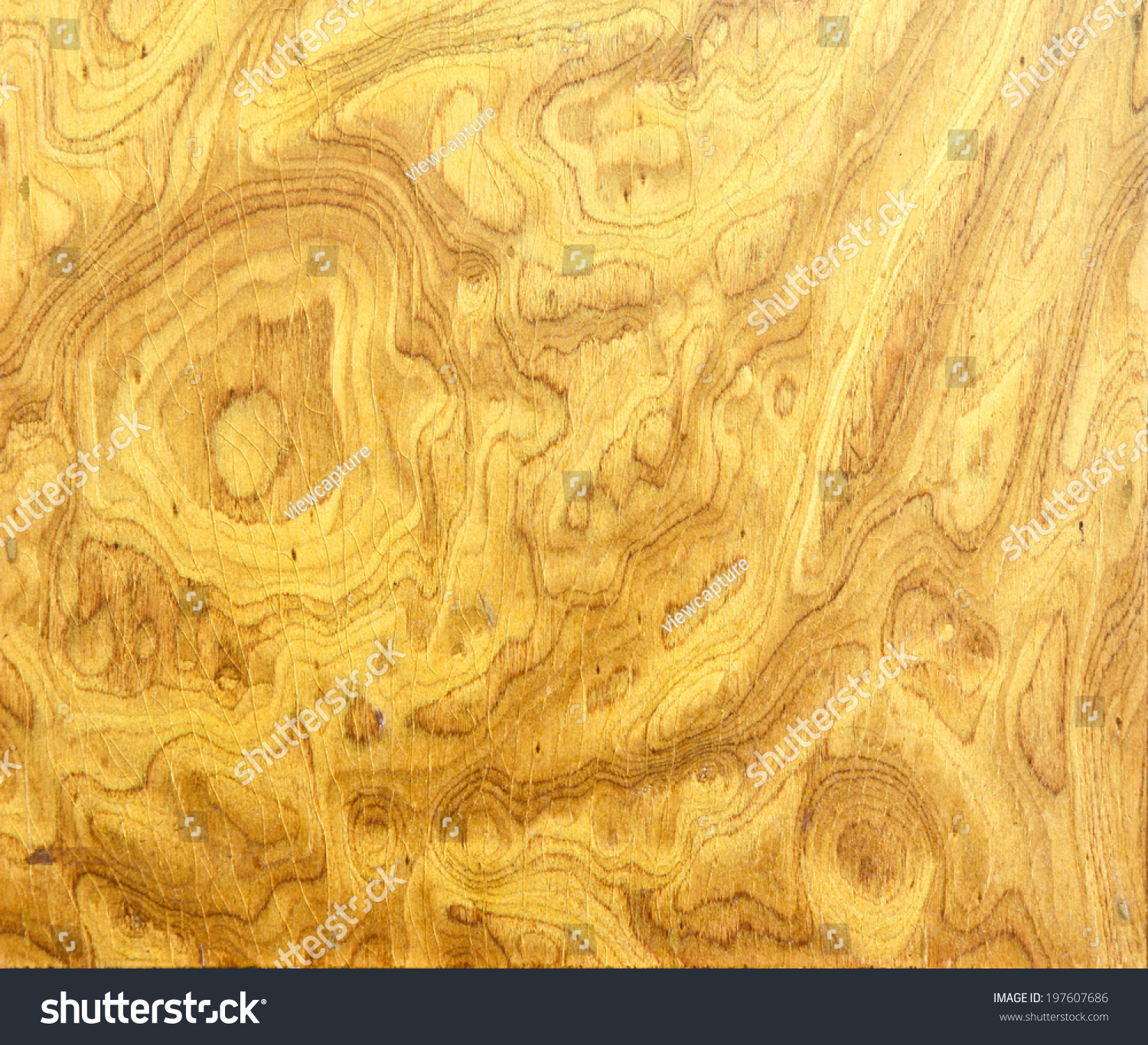 Burl Wood Background Stock Photo 197607686 - Shutterstock