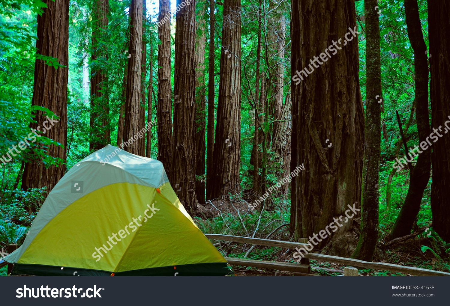 Camping Near The Redwood Forest Stock Photo 58241638 : Shutterstock