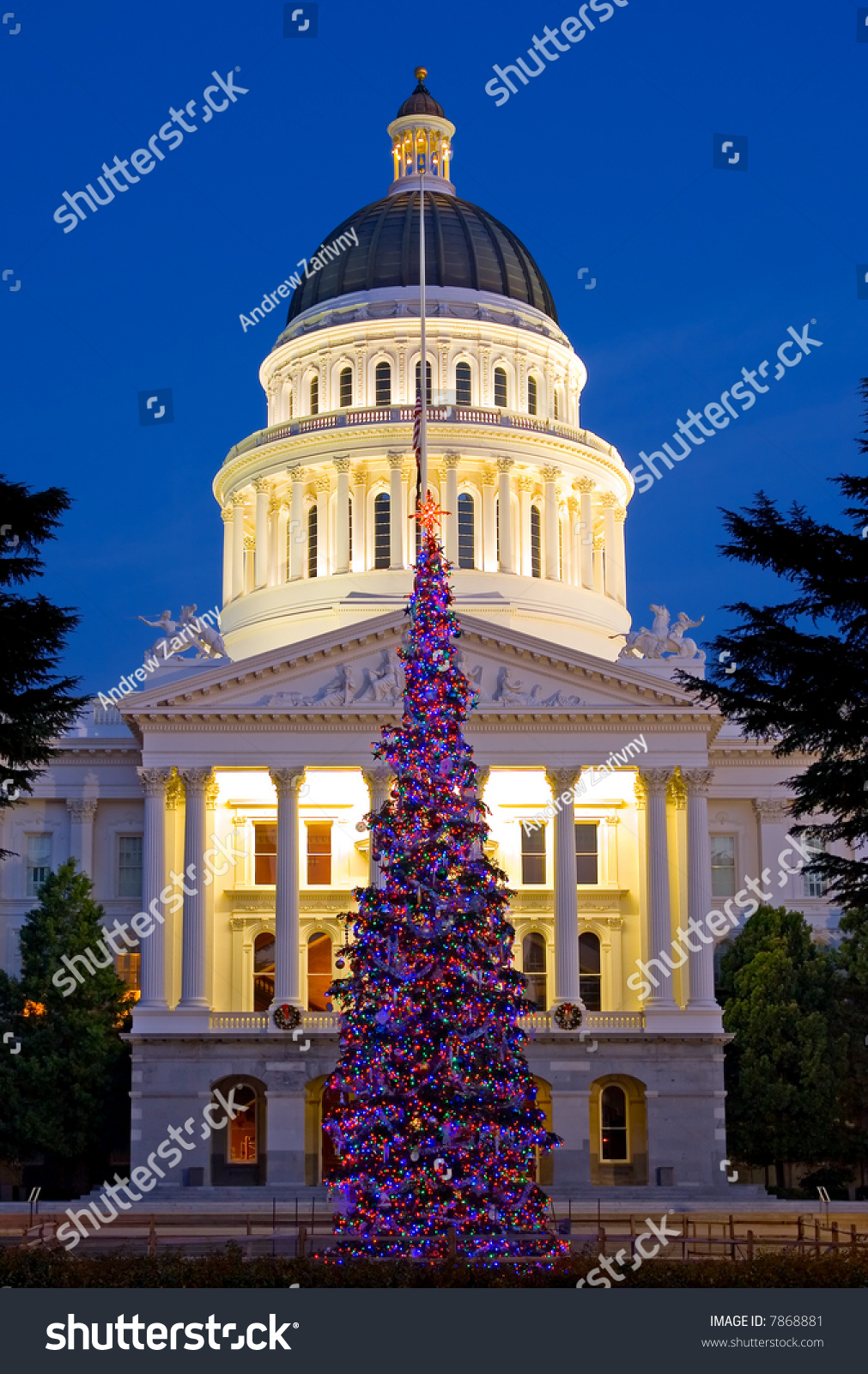 Capitol Christmas Tree In Sacramento California Stock Photo 7868881