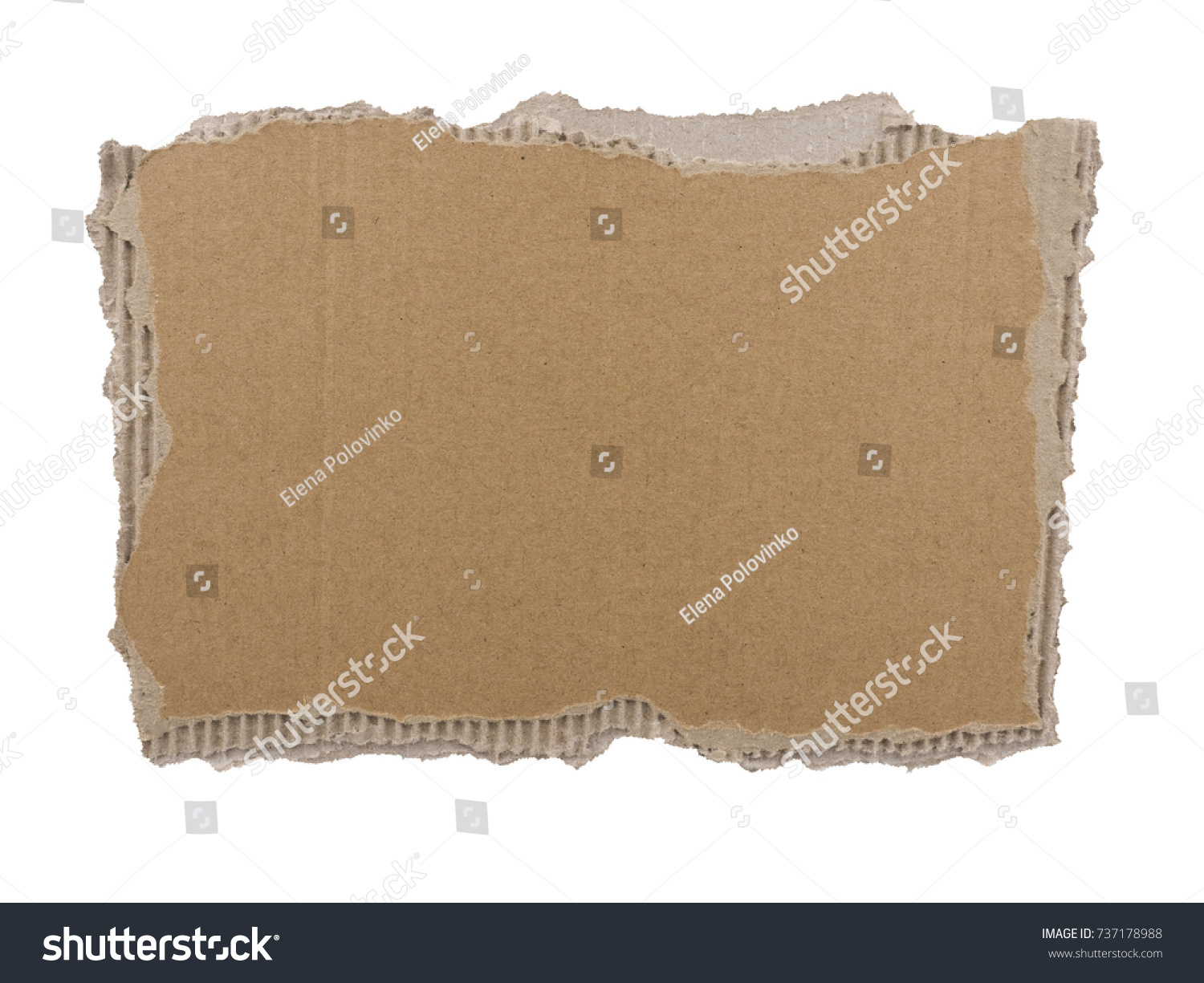 Cardboard Background Corrugated Cardboard Torn Edge Stock Photo Edit