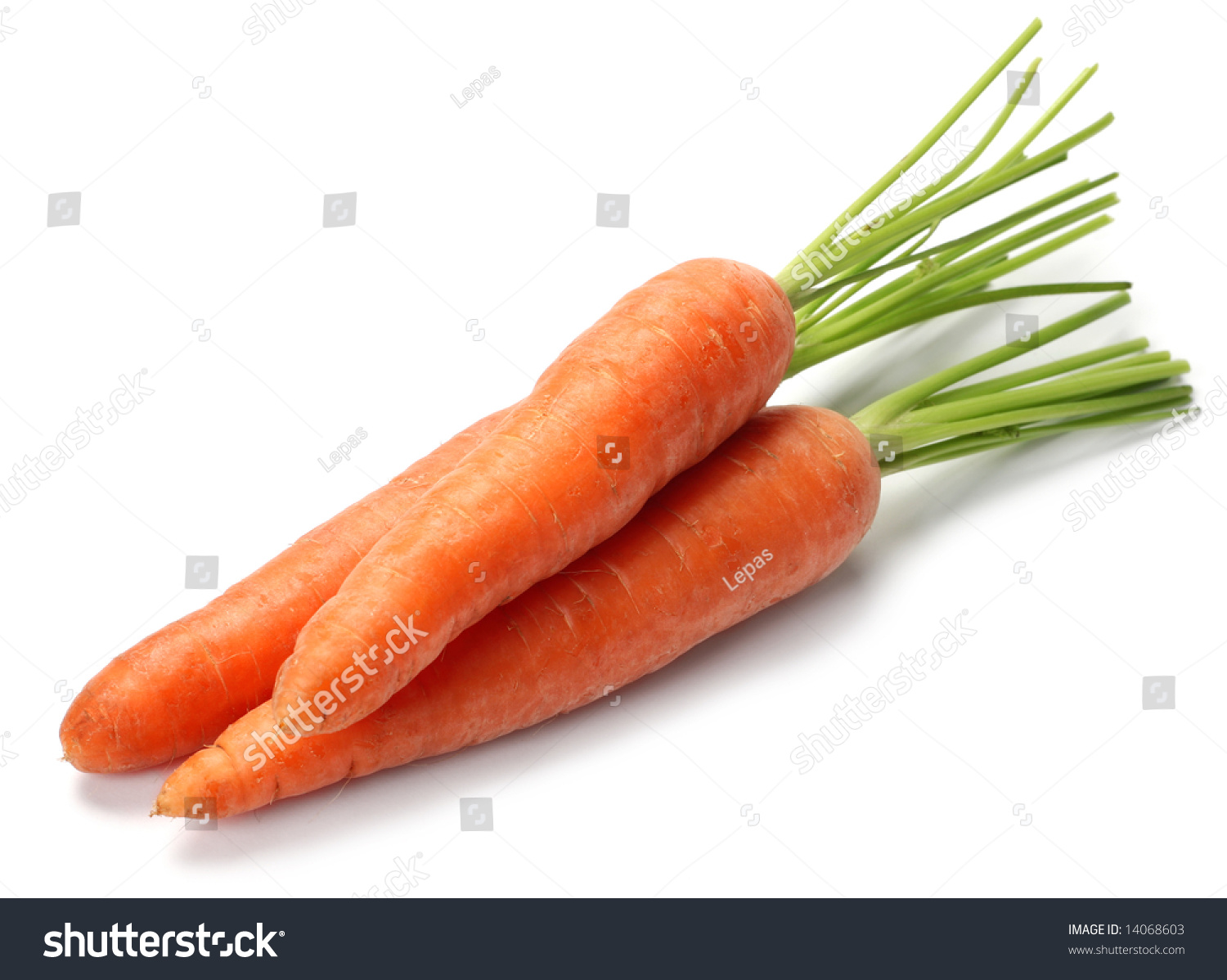 Carrot Group 62
