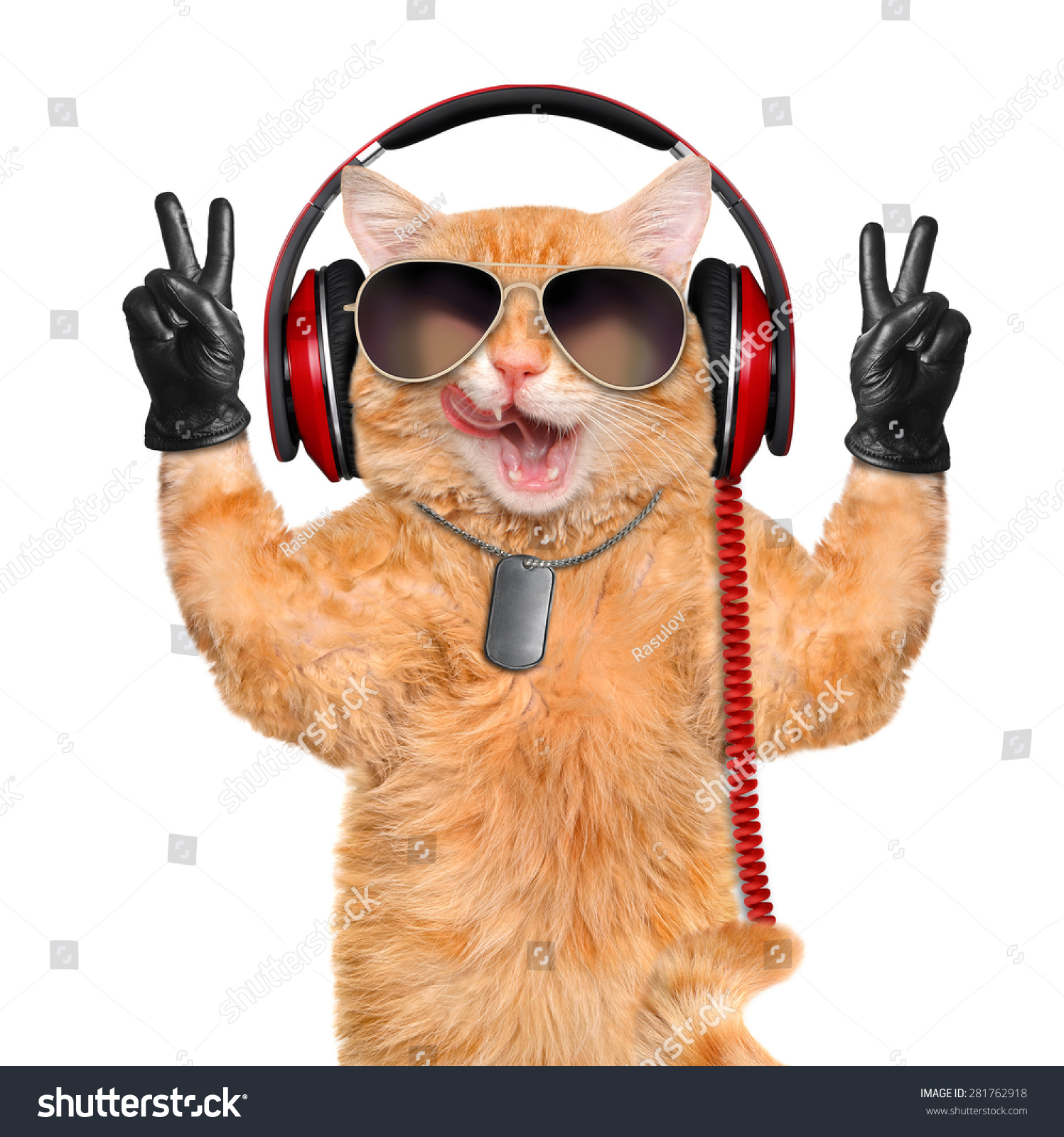 Cat Headphones. Stock Photo 281762918 : Shutterstock