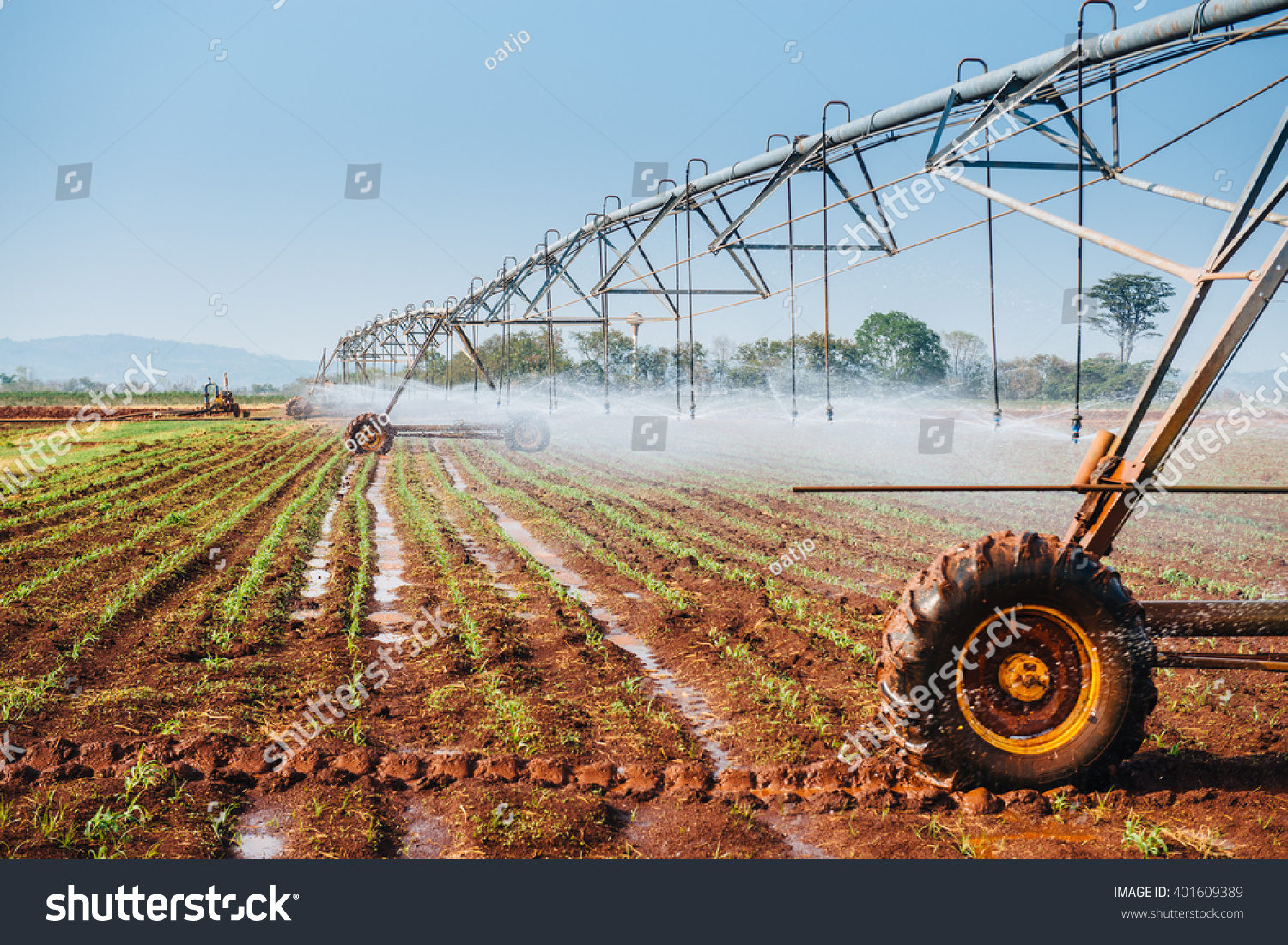 Center pivot sprinkler system watering corn shoots in a corn field Center pivot sprinkler system watering corn shoots in a corn field