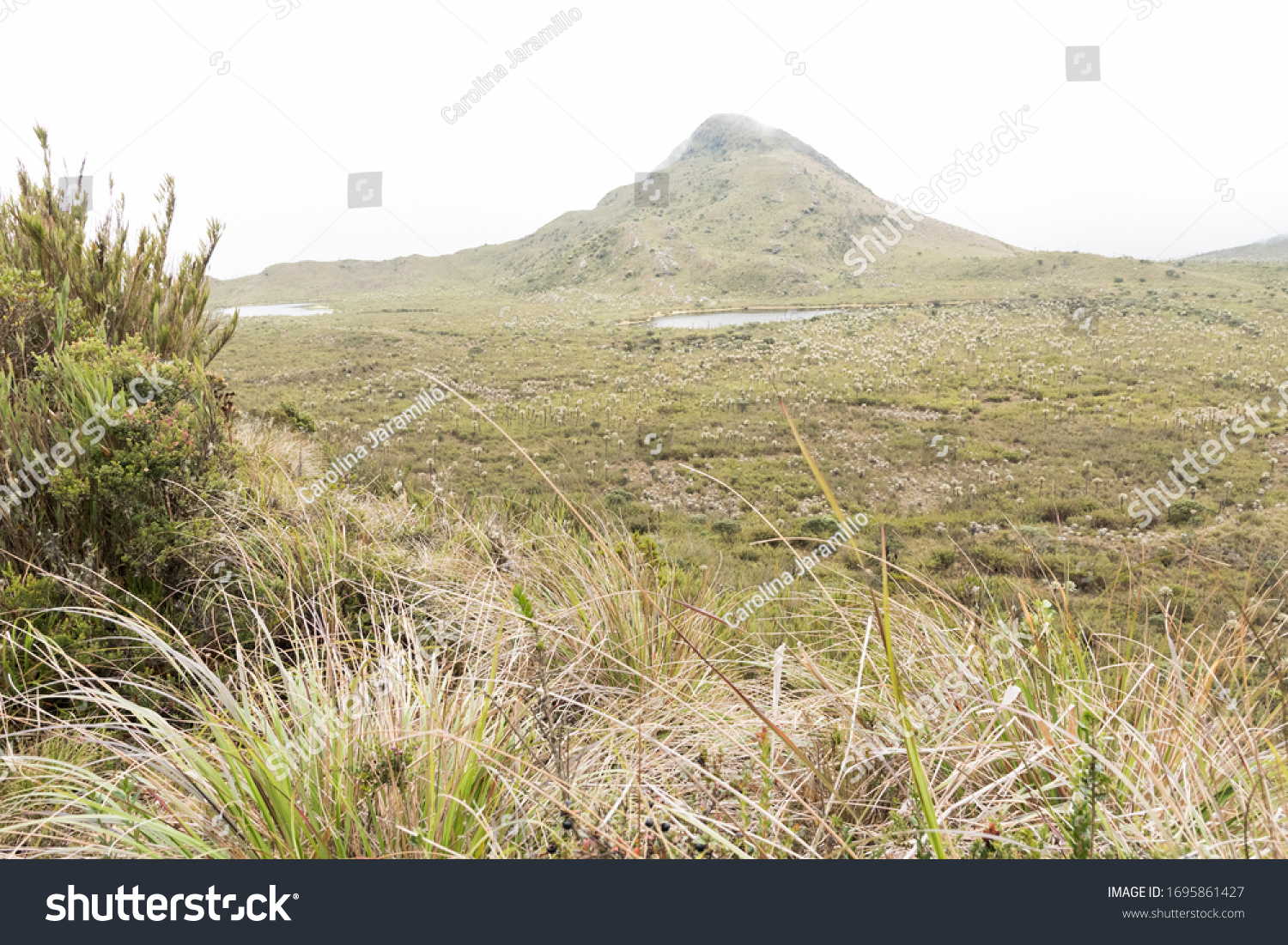 Chingaza National Natural Park Colombia Buitrago Stock Photo 1695861427