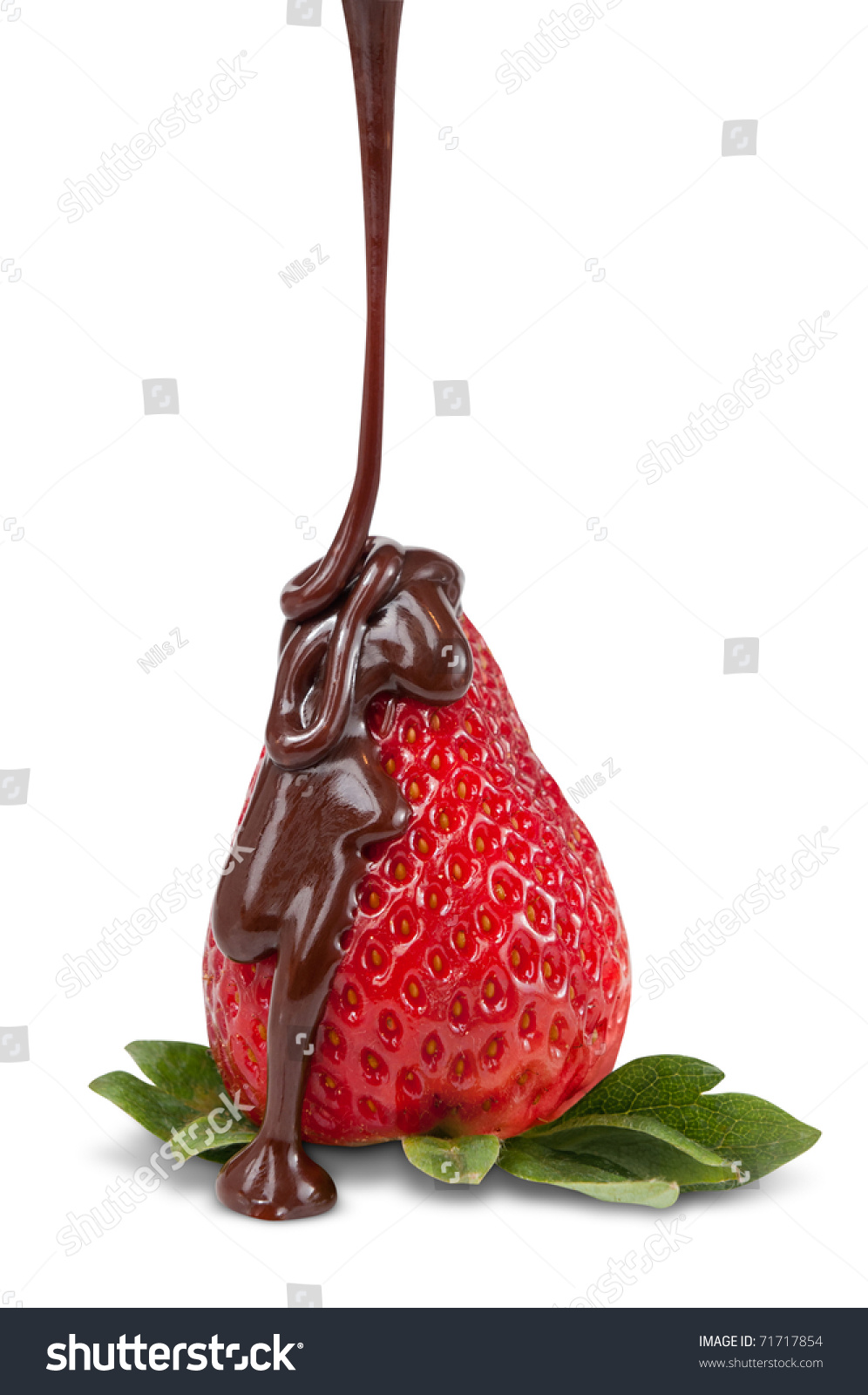 Chocolate Coated Strawberry Stock Photo 71717854 : Shutterstock