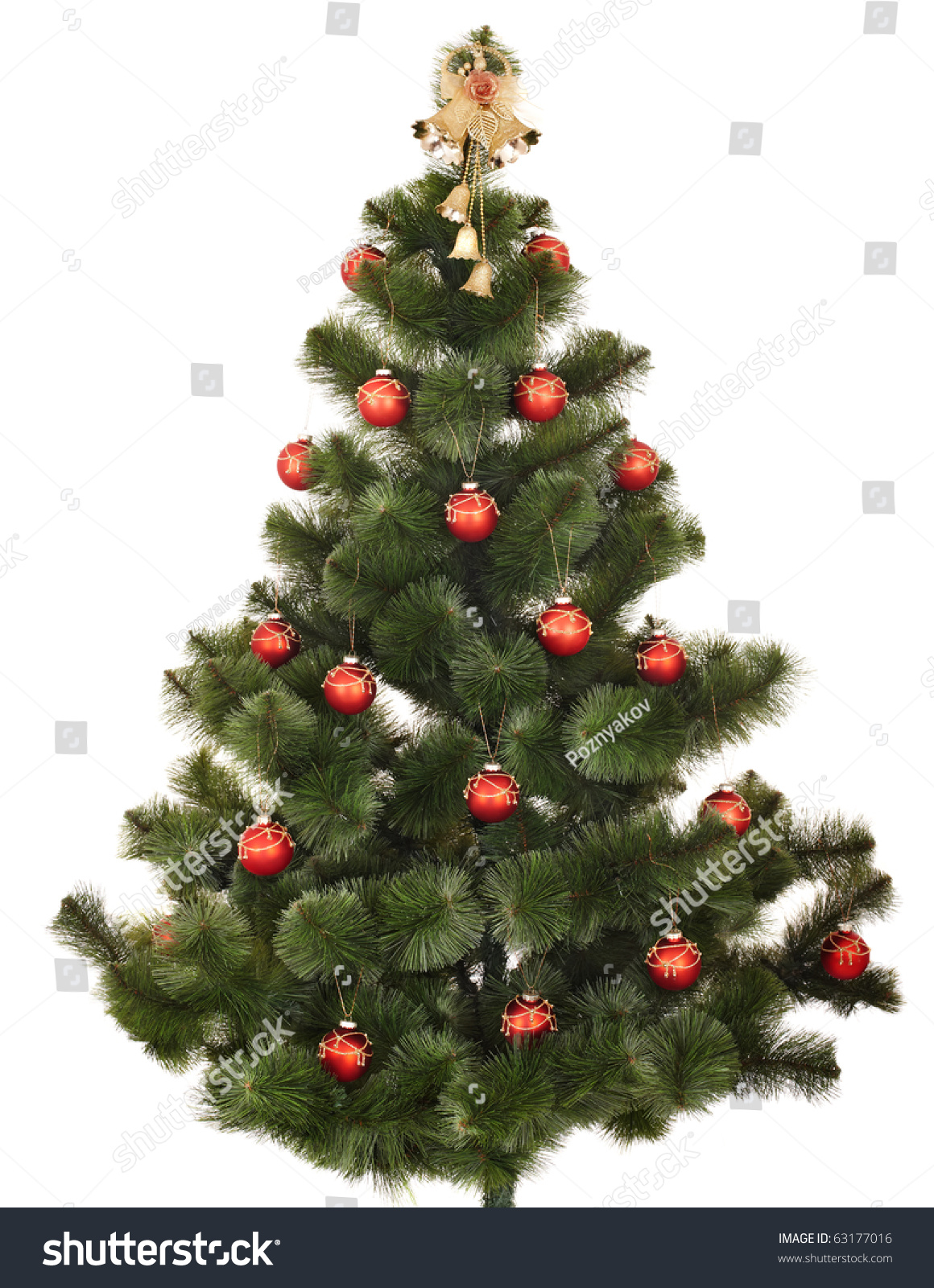 Christmas Tree Isolated Stock Photo Shutterstock