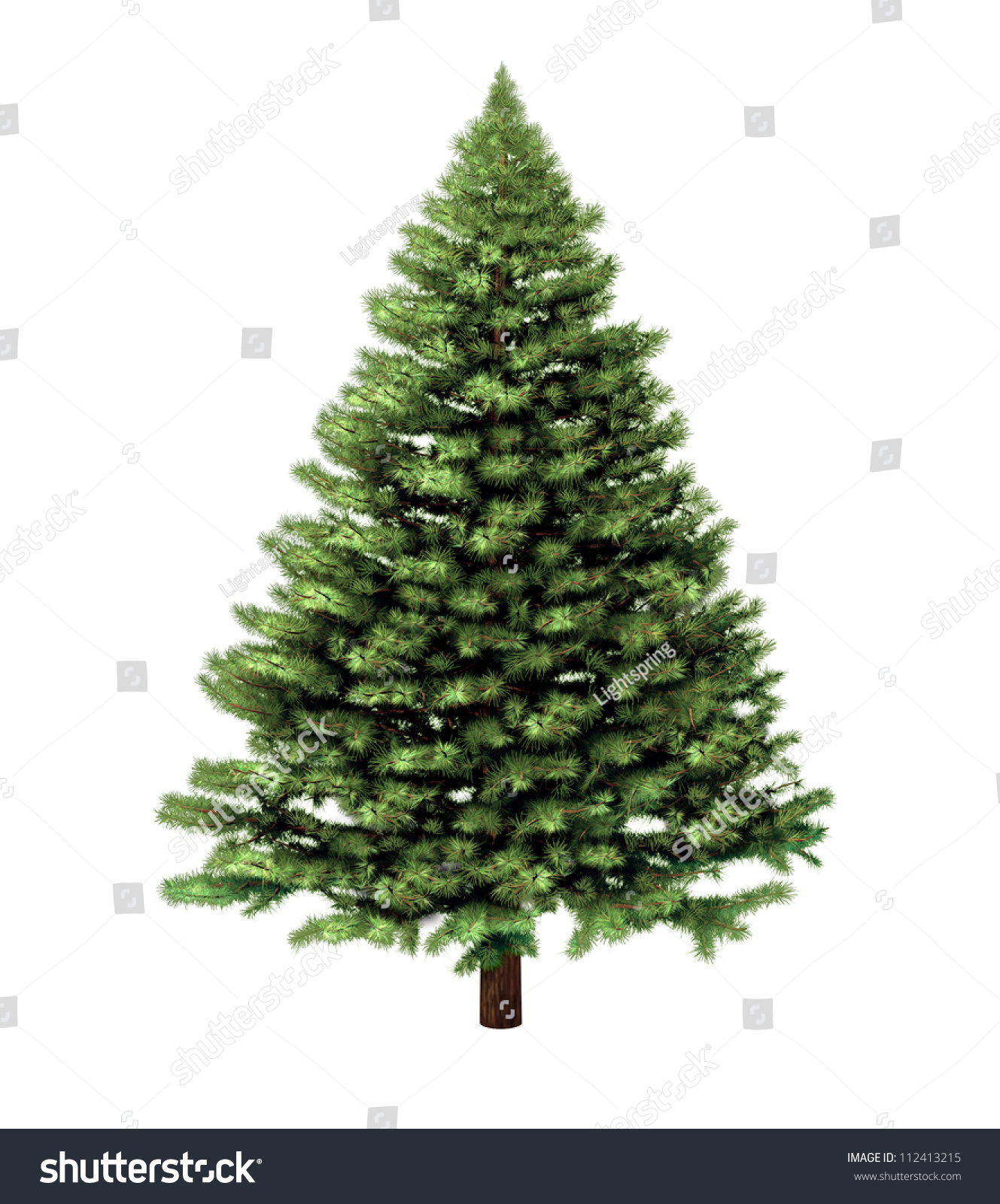 Christmas Tree Isolated On A White Background Without Any Decorations As A Festive Evergreen ...