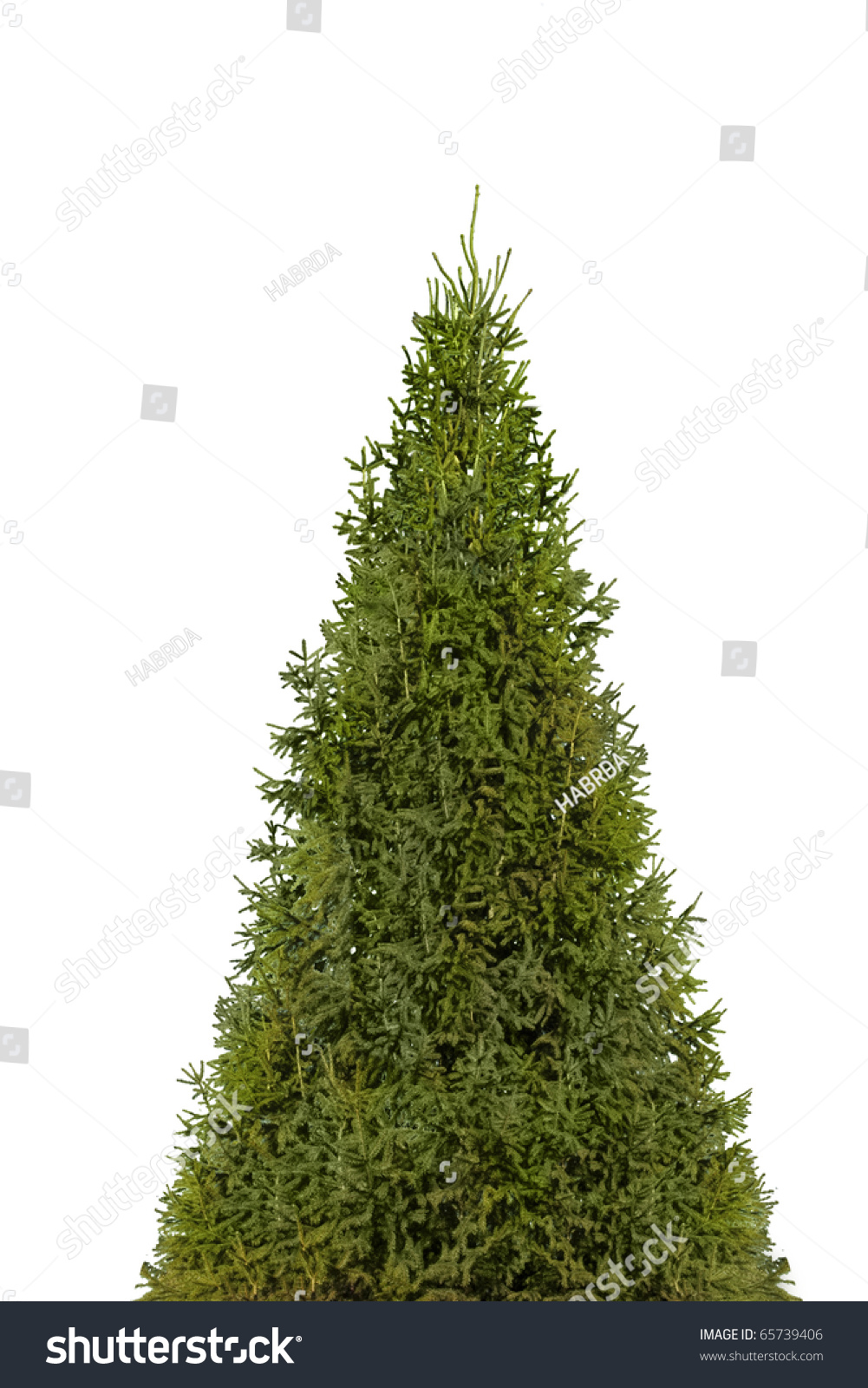 christmas tree isolated on white with photoshop path stock christmas tree isolated on white with photoshop path stock