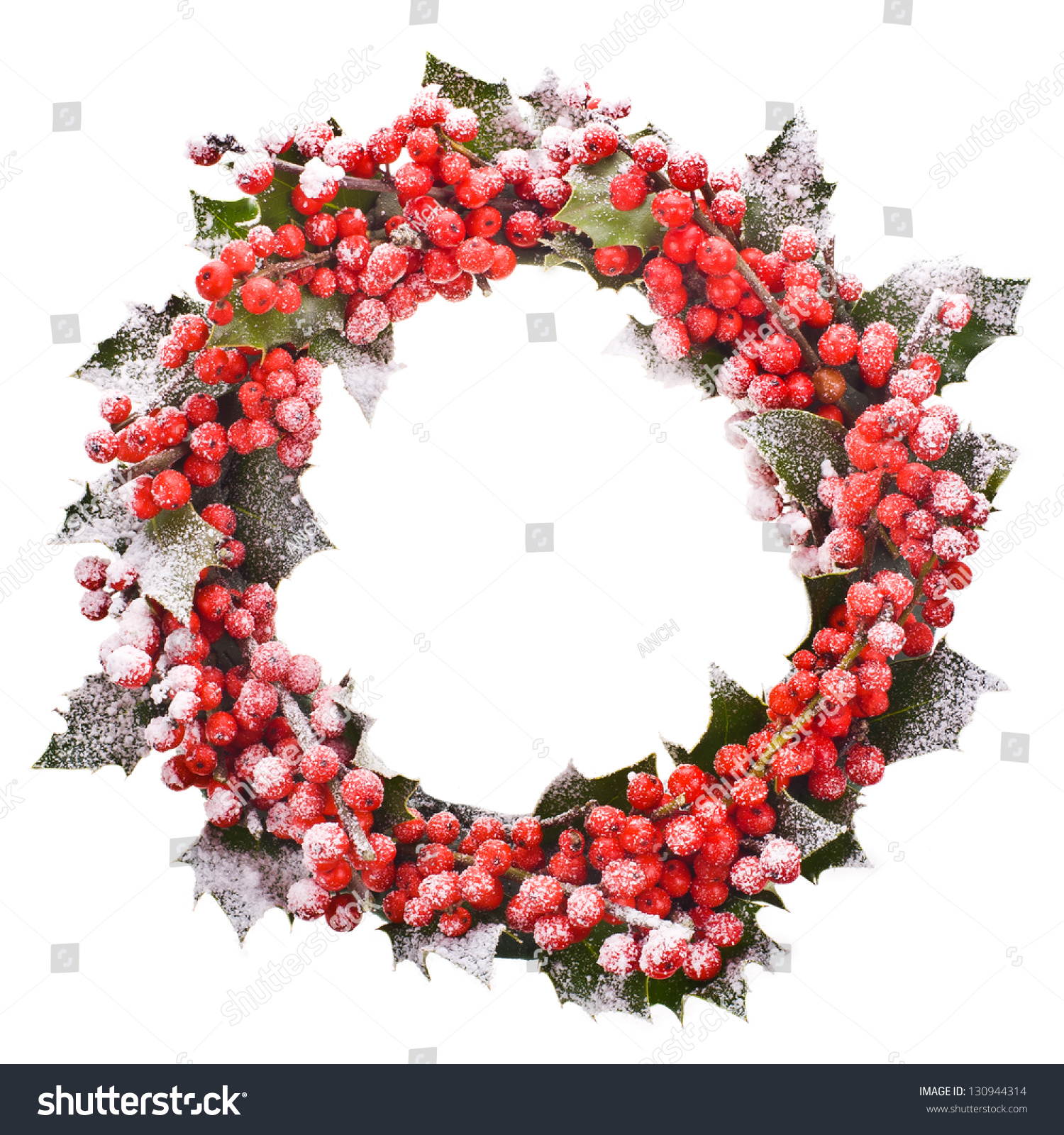 Christmas Wreath Of Nature Leaves And Berries Holly Ilex Isolated On