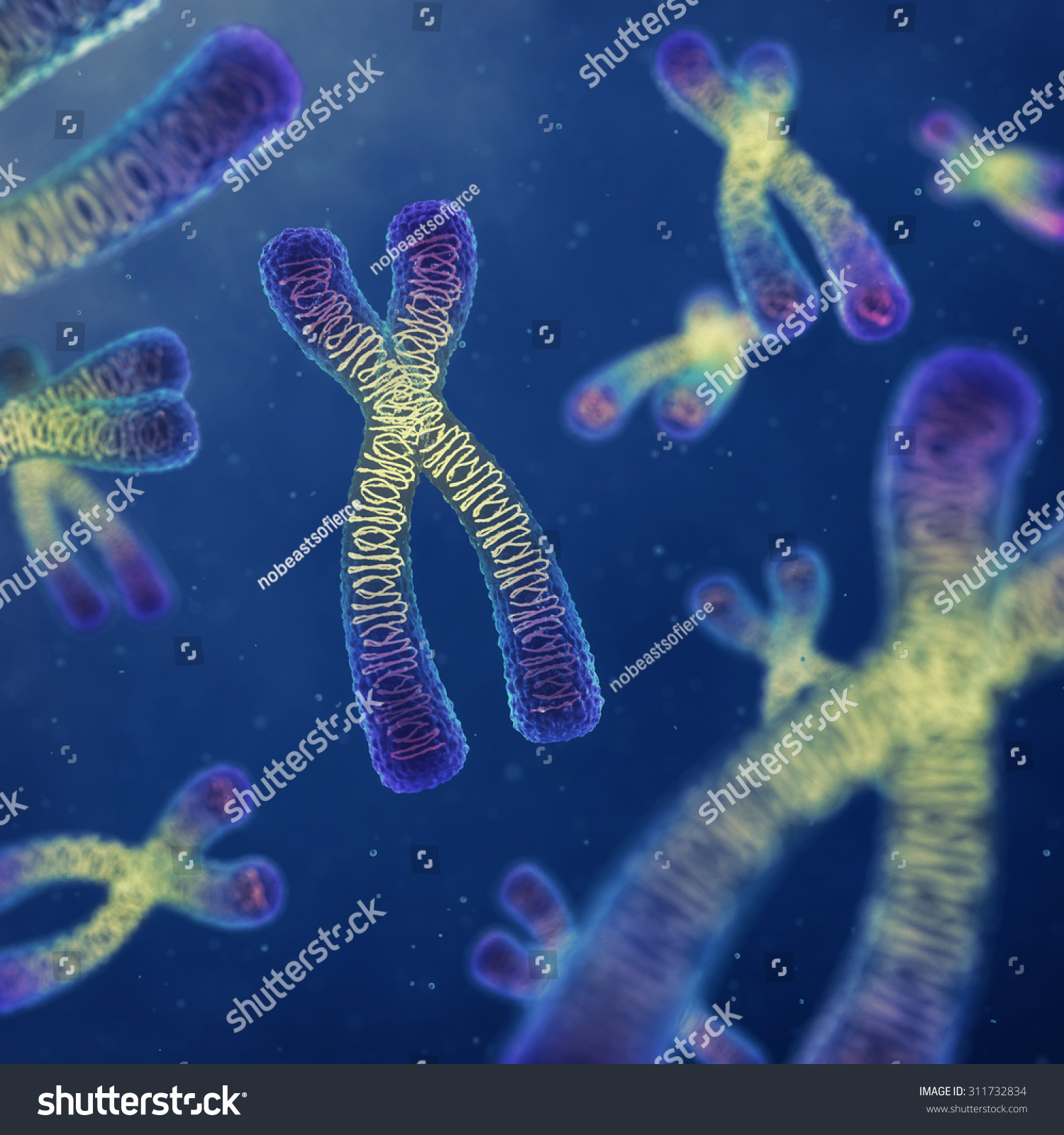 Chromosomes genetic engineering DNA Chromosomes genetic engineering DNA
