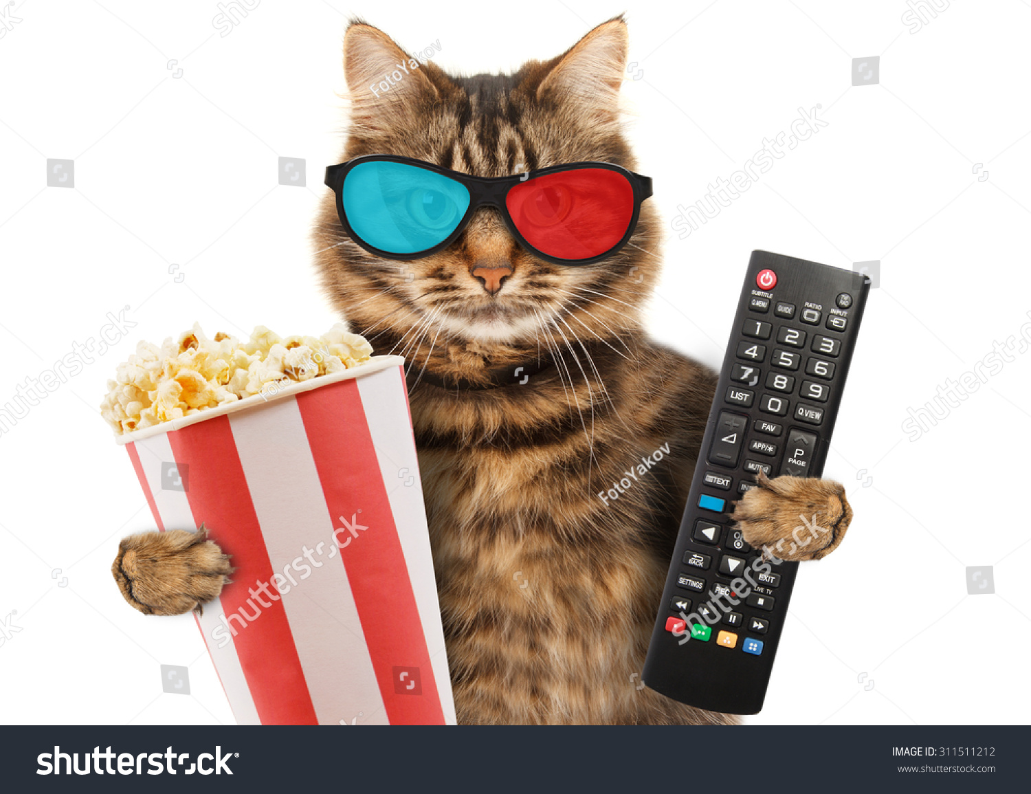 Cat Dog Popcorn Cat Dog Popcorn